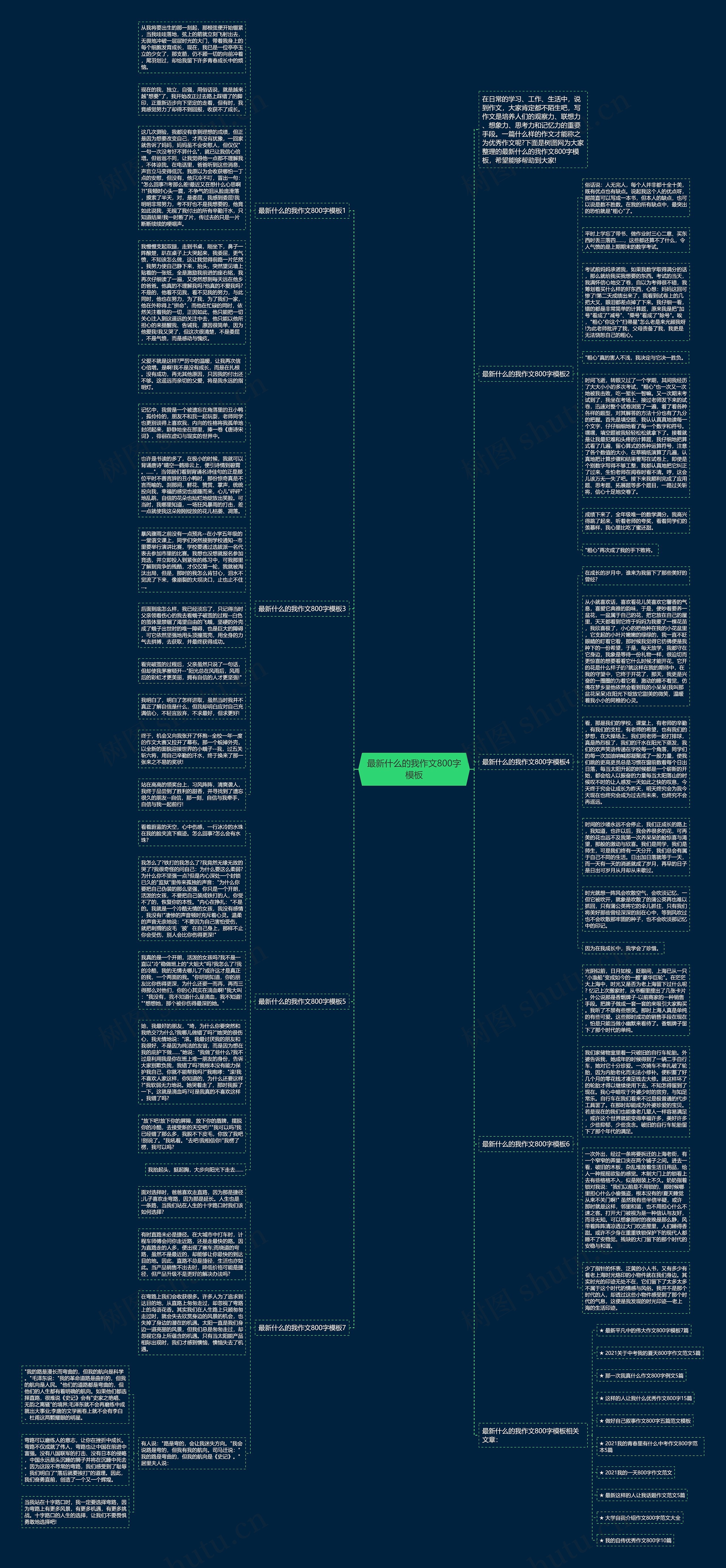 最新什么的我作文800字模板