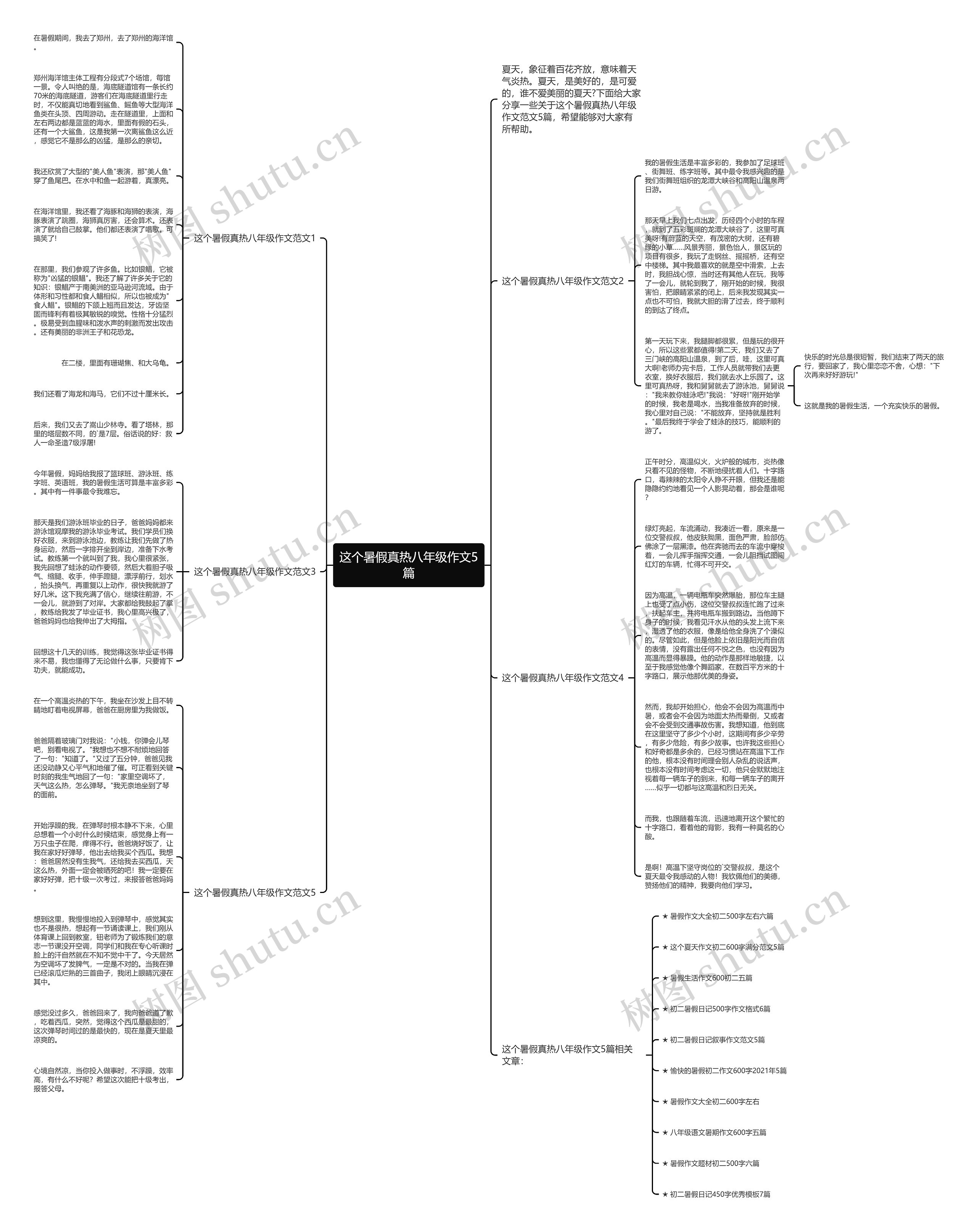 这个暑假真热八年级作文5篇思维导图