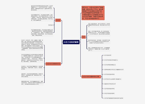 白玉兰花知识最新