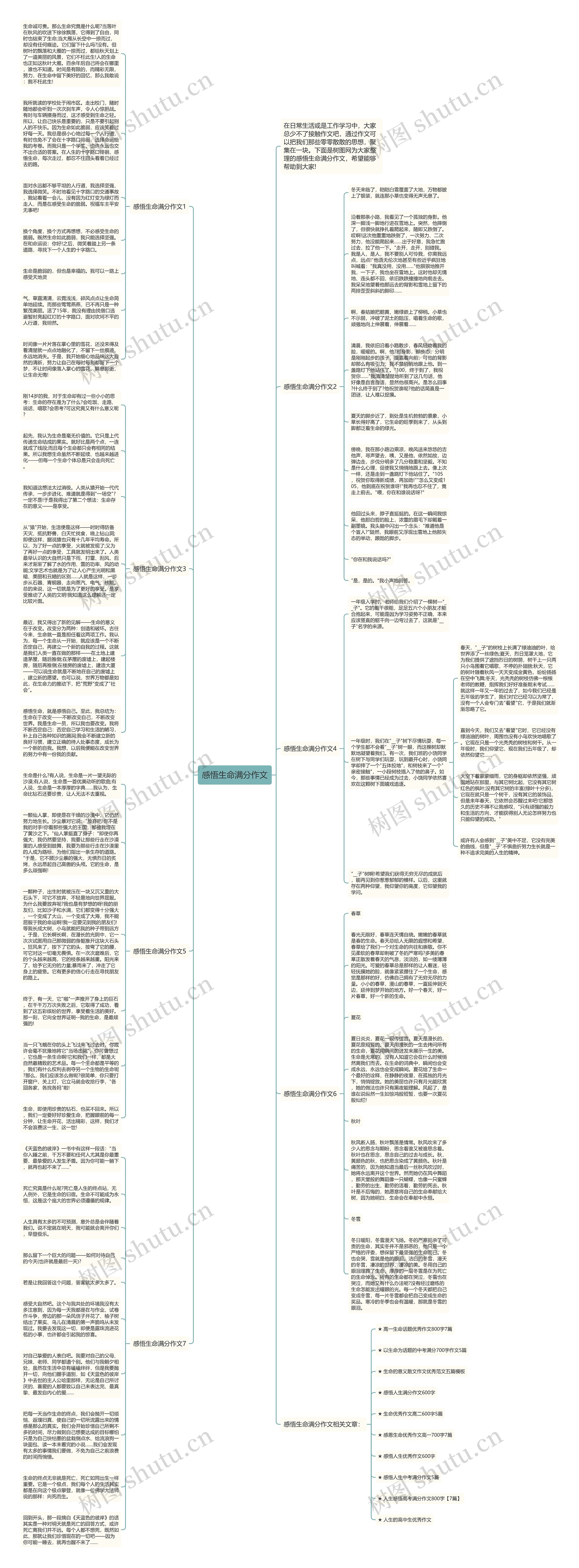 感悟生命满分作文思维导图