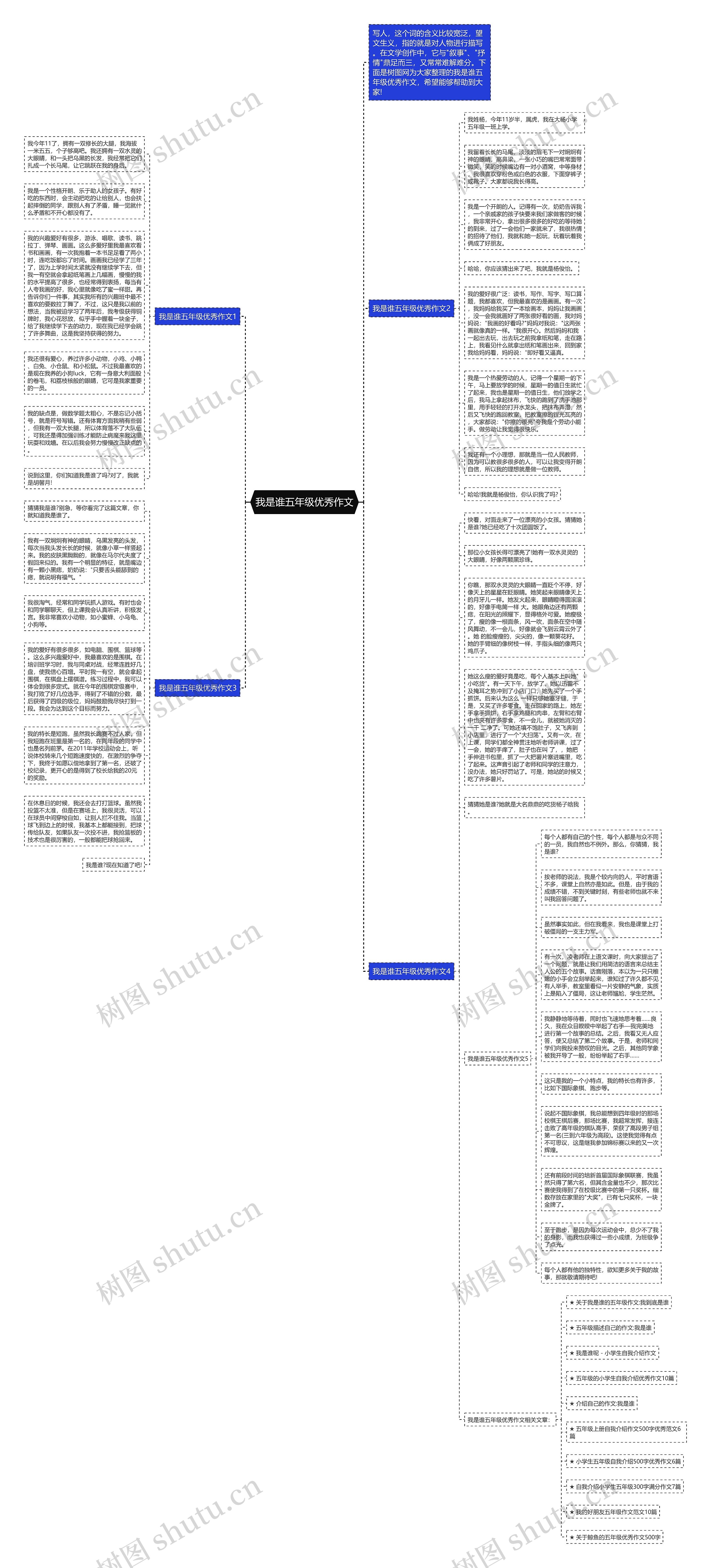 我是谁五年级优秀作文思维导图