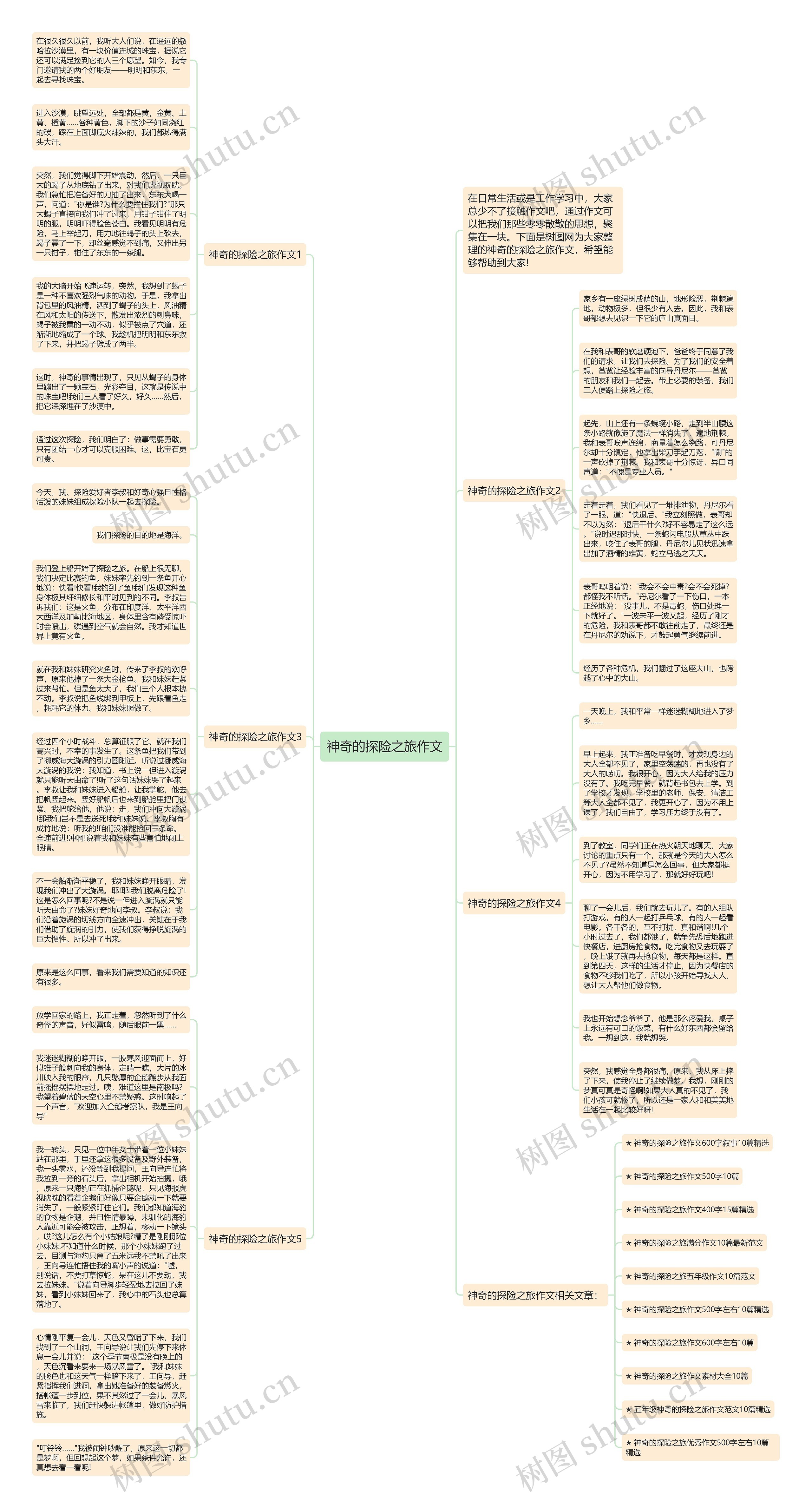 神奇的探险之旅作文思维导图