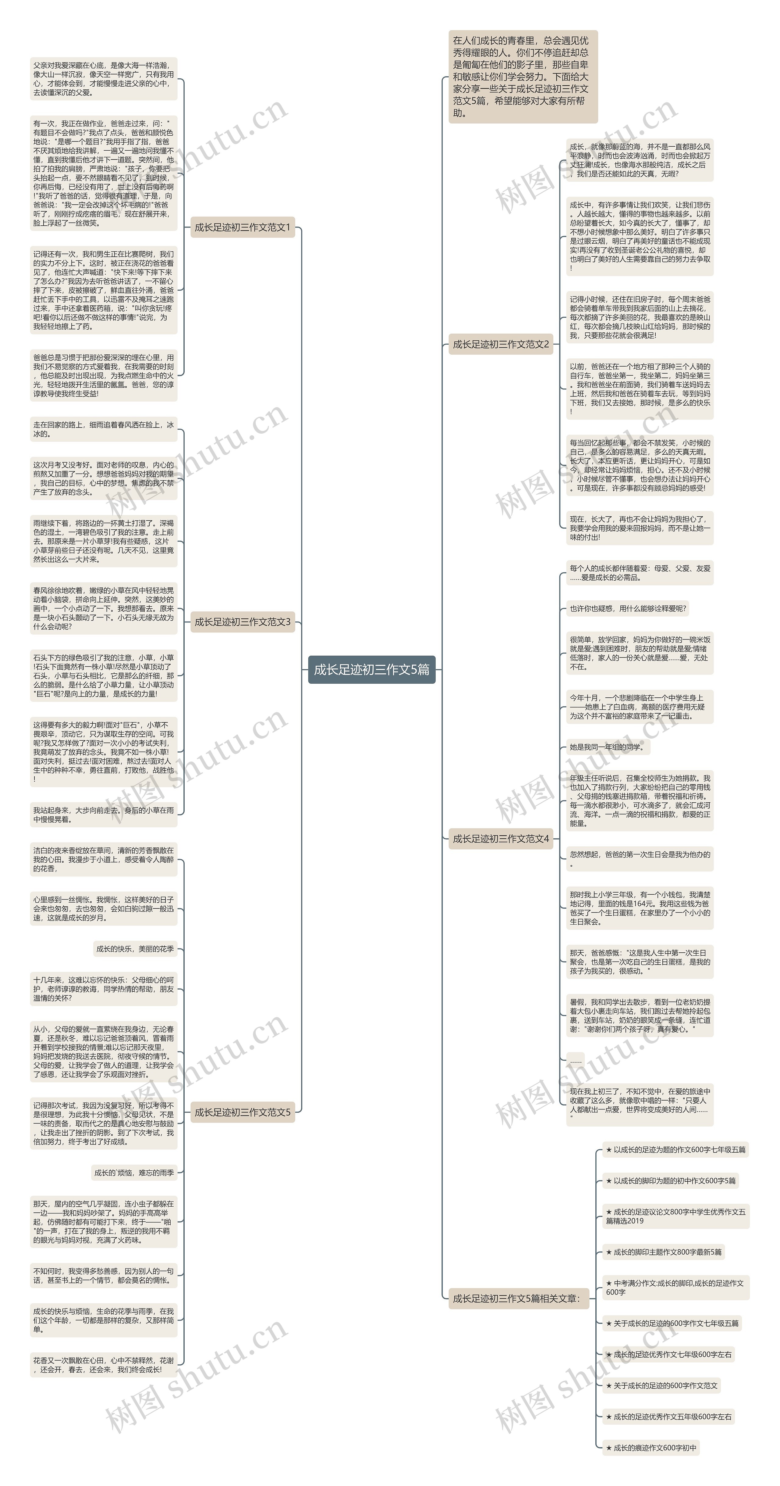 成长足迹初三作文5篇思维导图