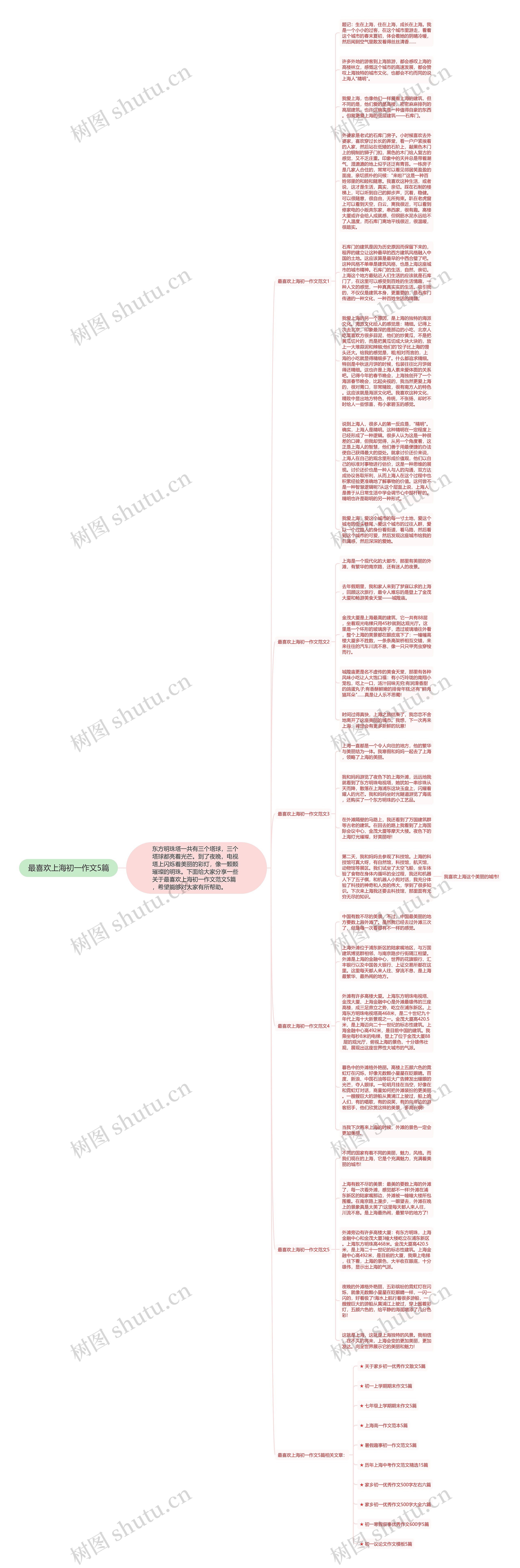 最喜欢上海初一作文5篇思维导图