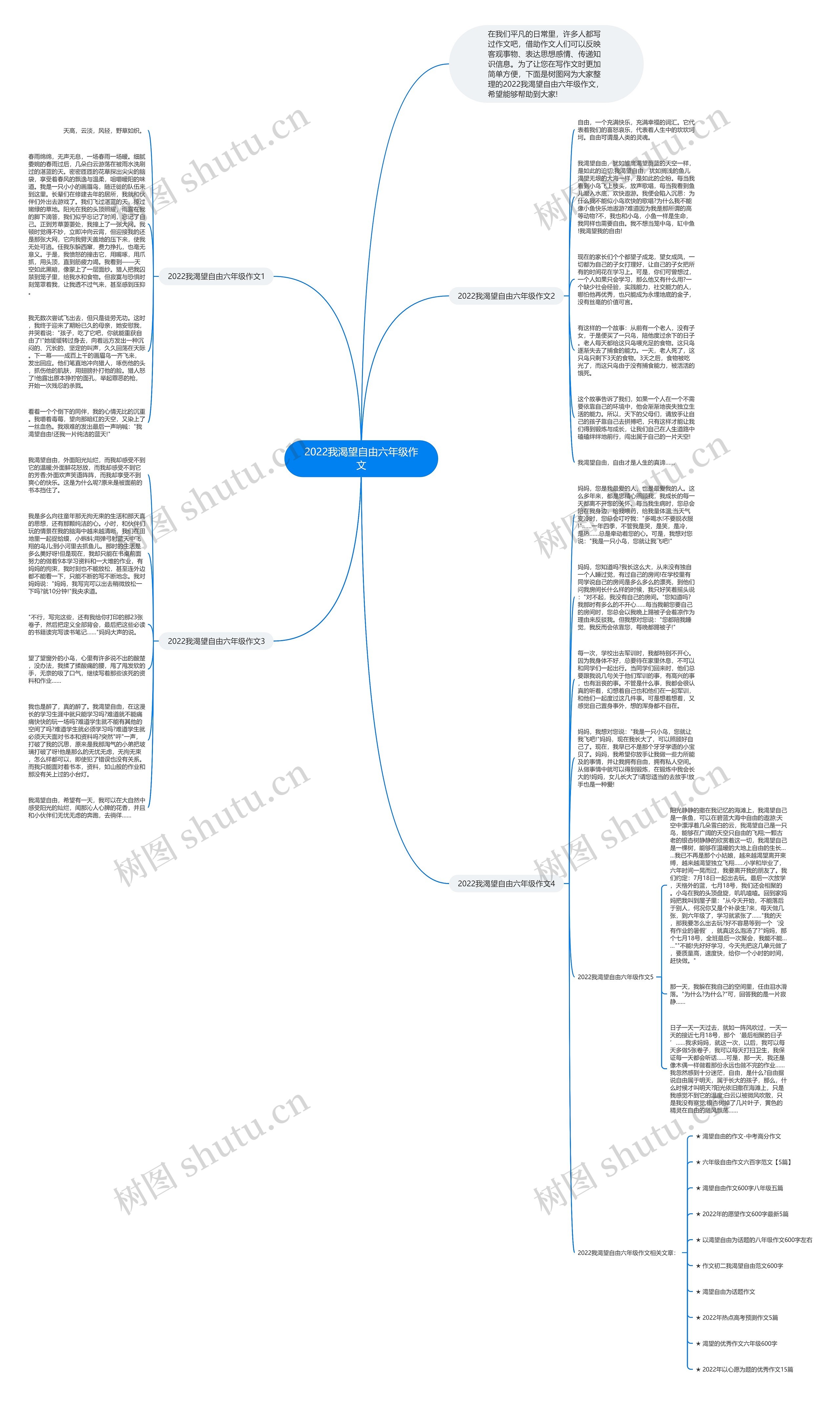 2022我渴望自由六年级作文思维导图