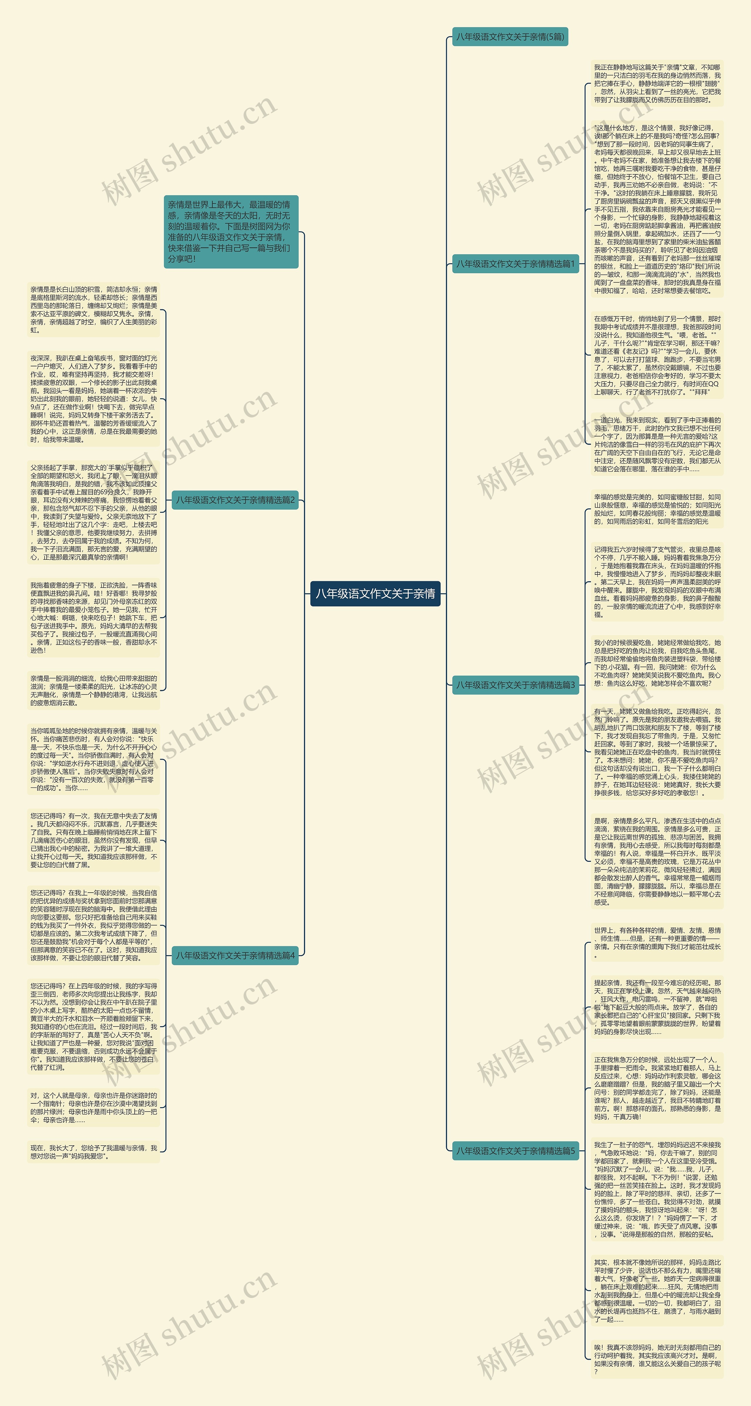 八年级语文作文关于亲情思维导图