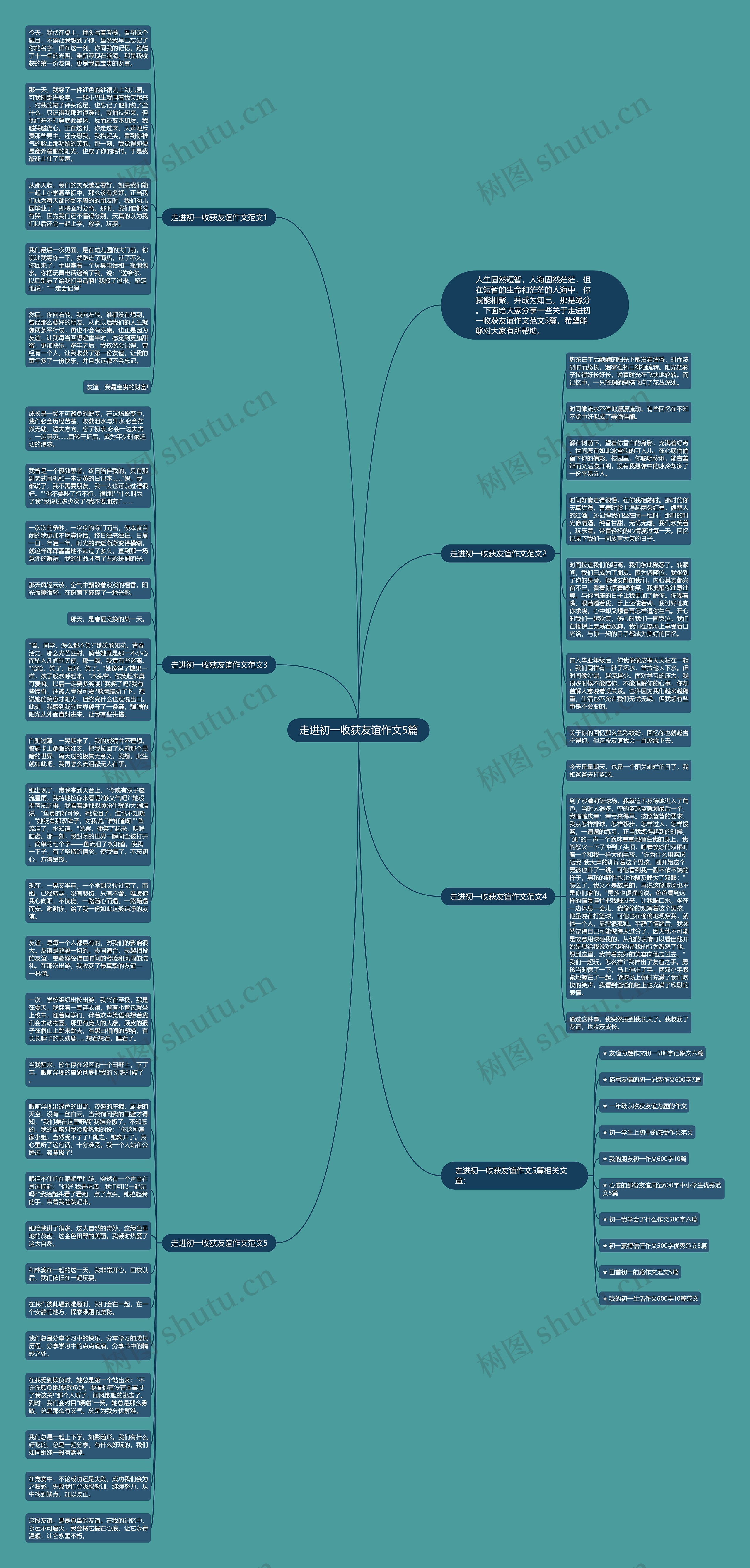 走进初一收获友谊作文5篇思维导图