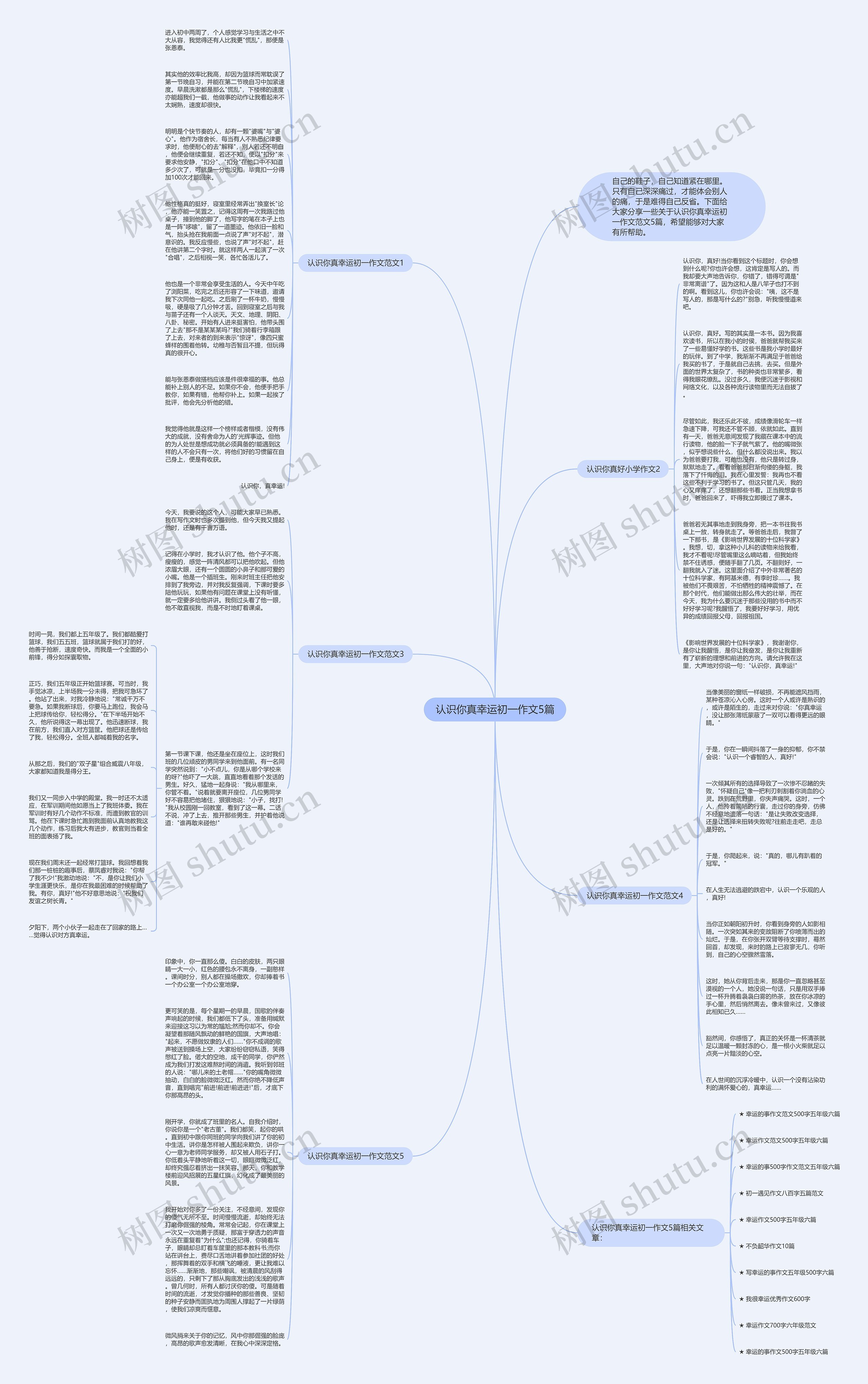 认识你真幸运初一作文5篇思维导图