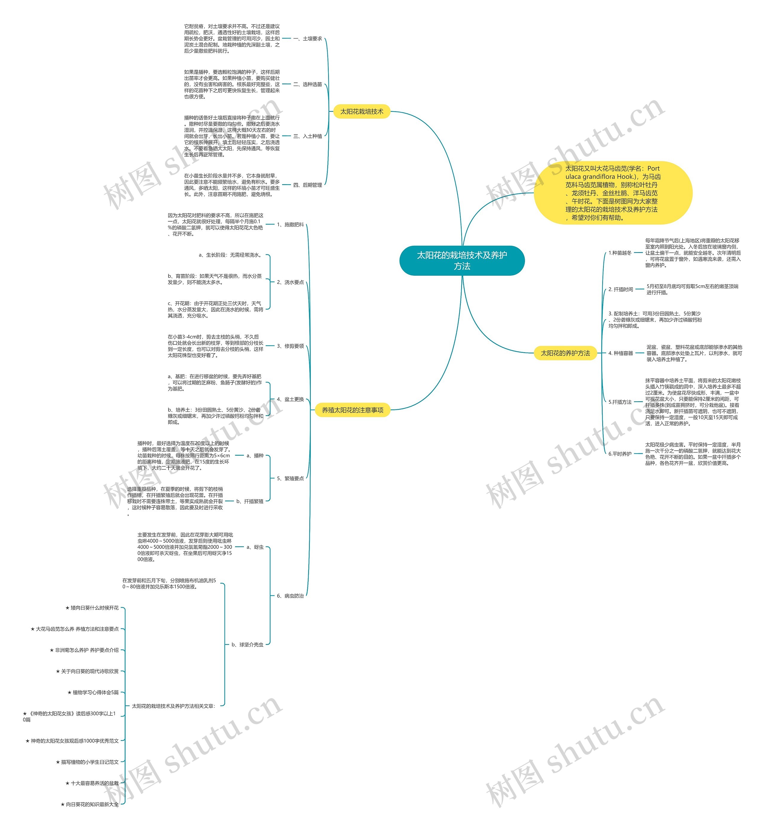 太阳花的栽培技术及养护方法思维导图