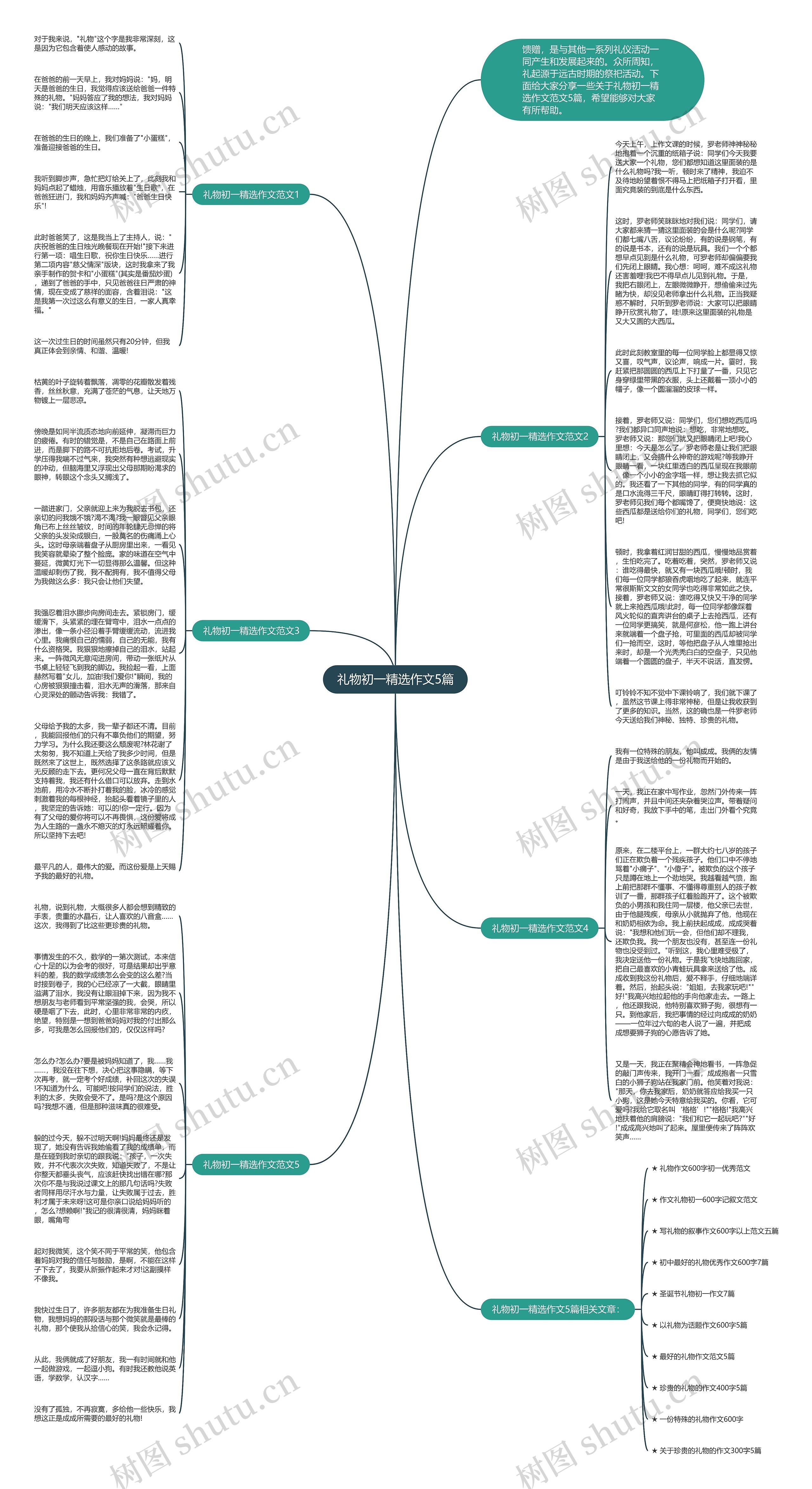 礼物初一精选作文5篇思维导图