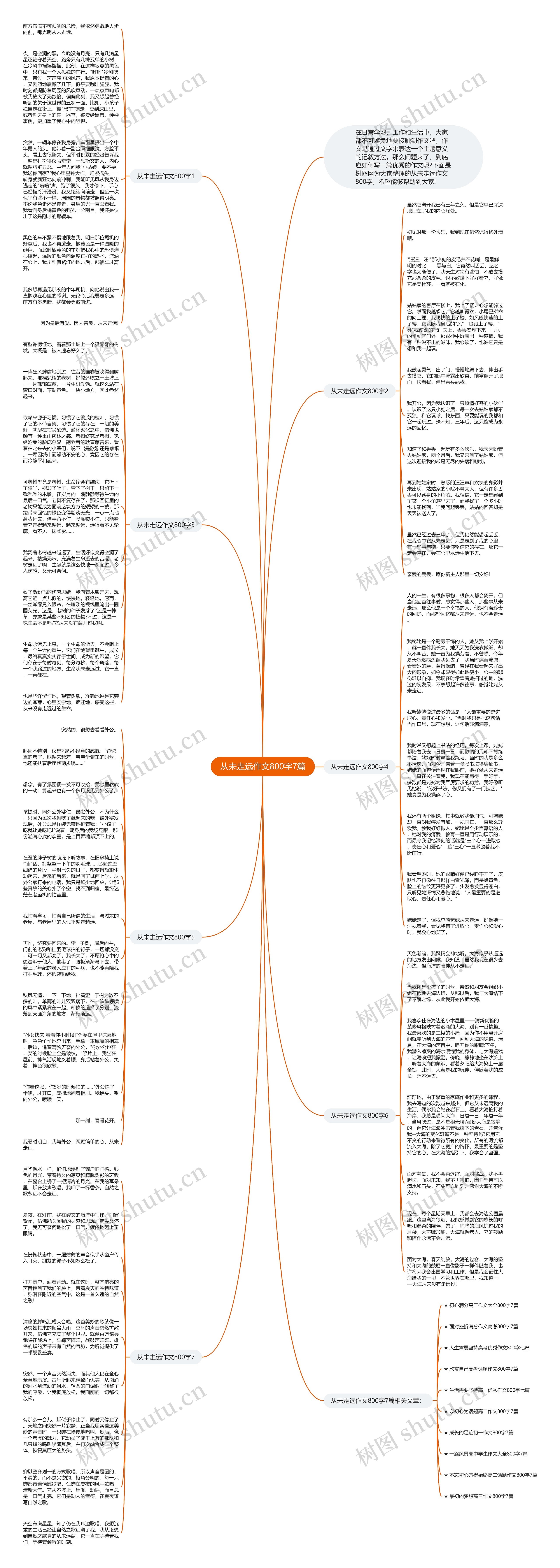 从未走远作文800字7篇思维导图