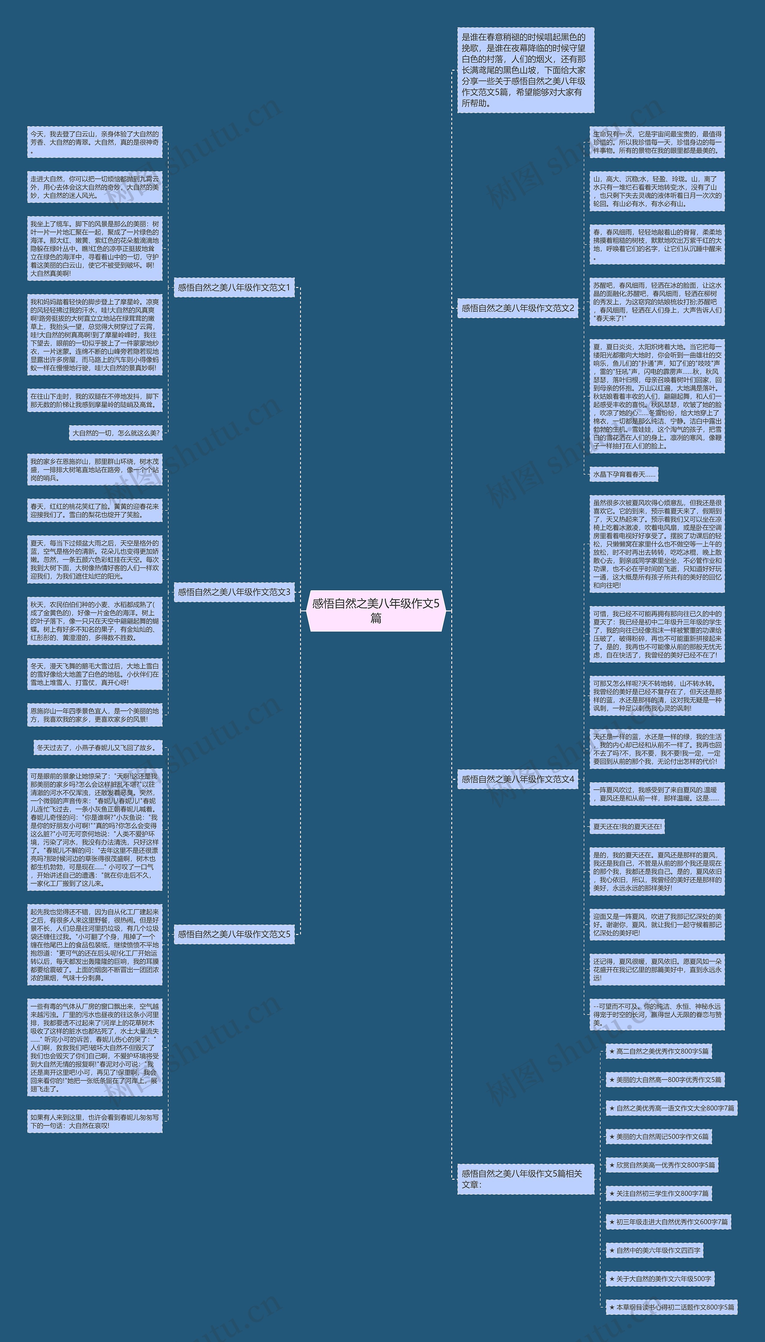 感悟自然之美八年级作文5篇思维导图
