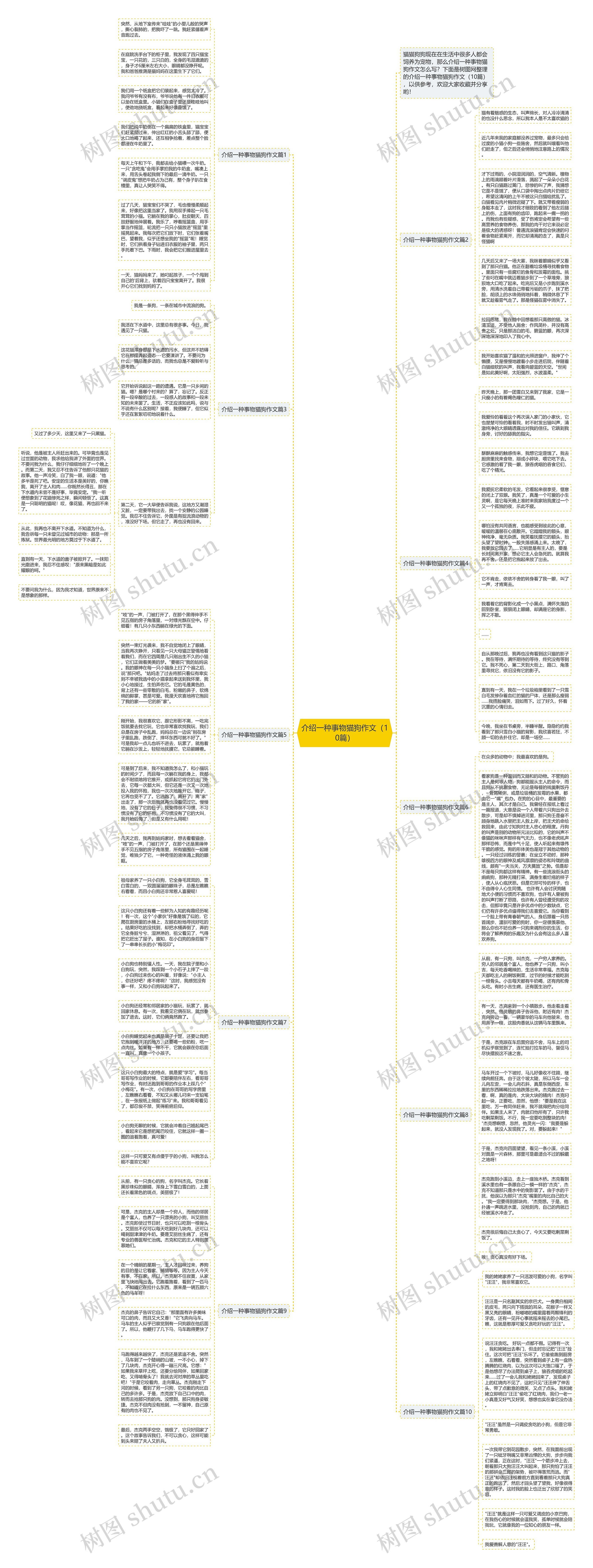 介绍一种事物猫狗作文（10篇）思维导图
