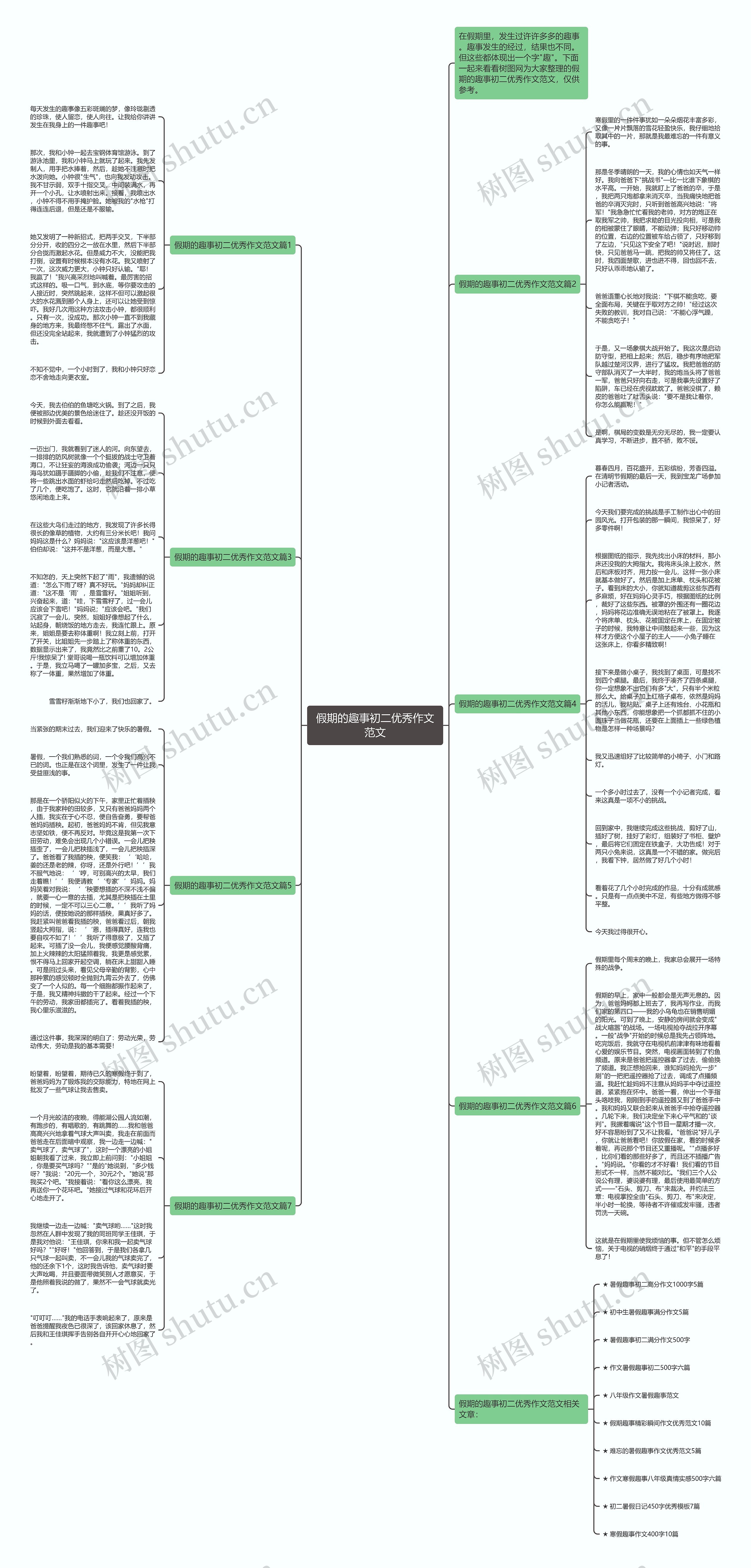 假期的趣事初二优秀作文范文思维导图