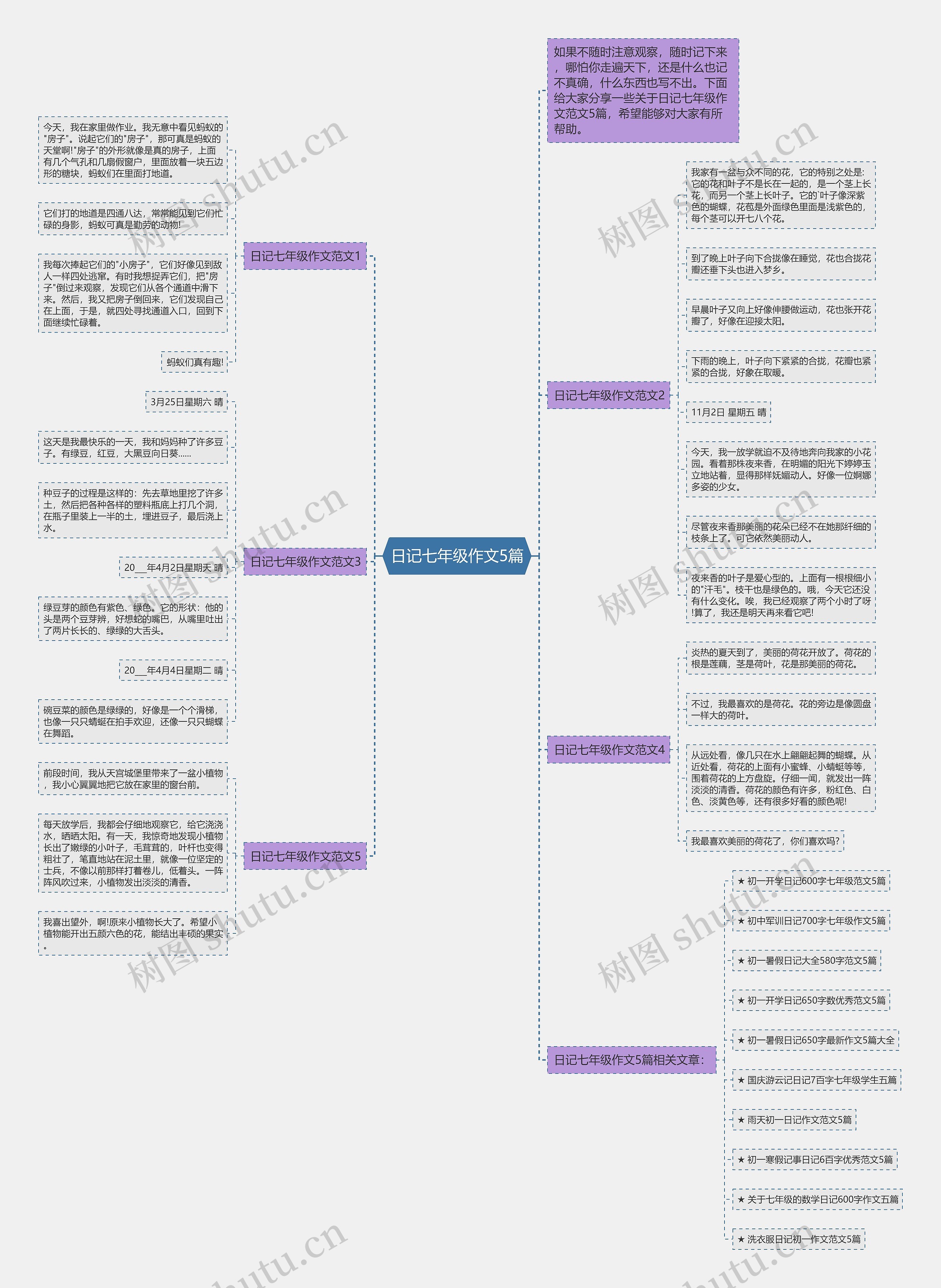 日记七年级作文5篇思维导图