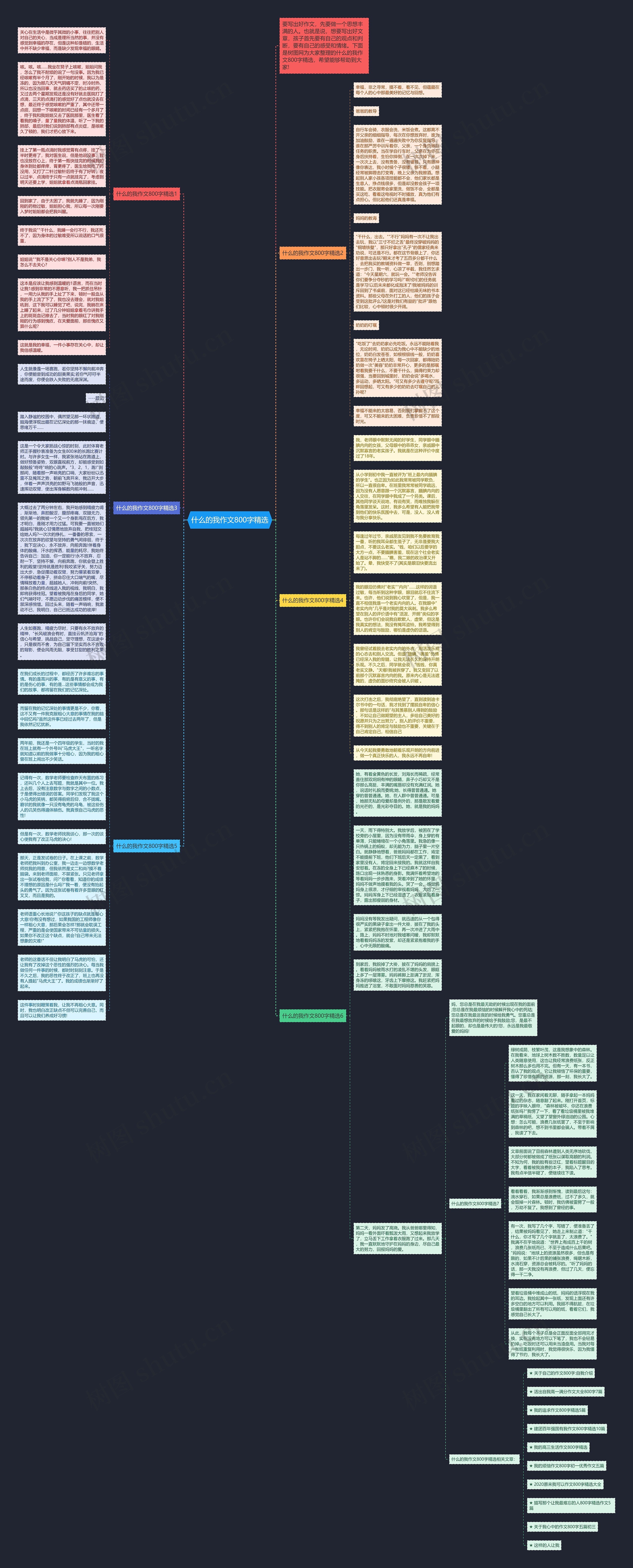 什么的我作文800字精选思维导图