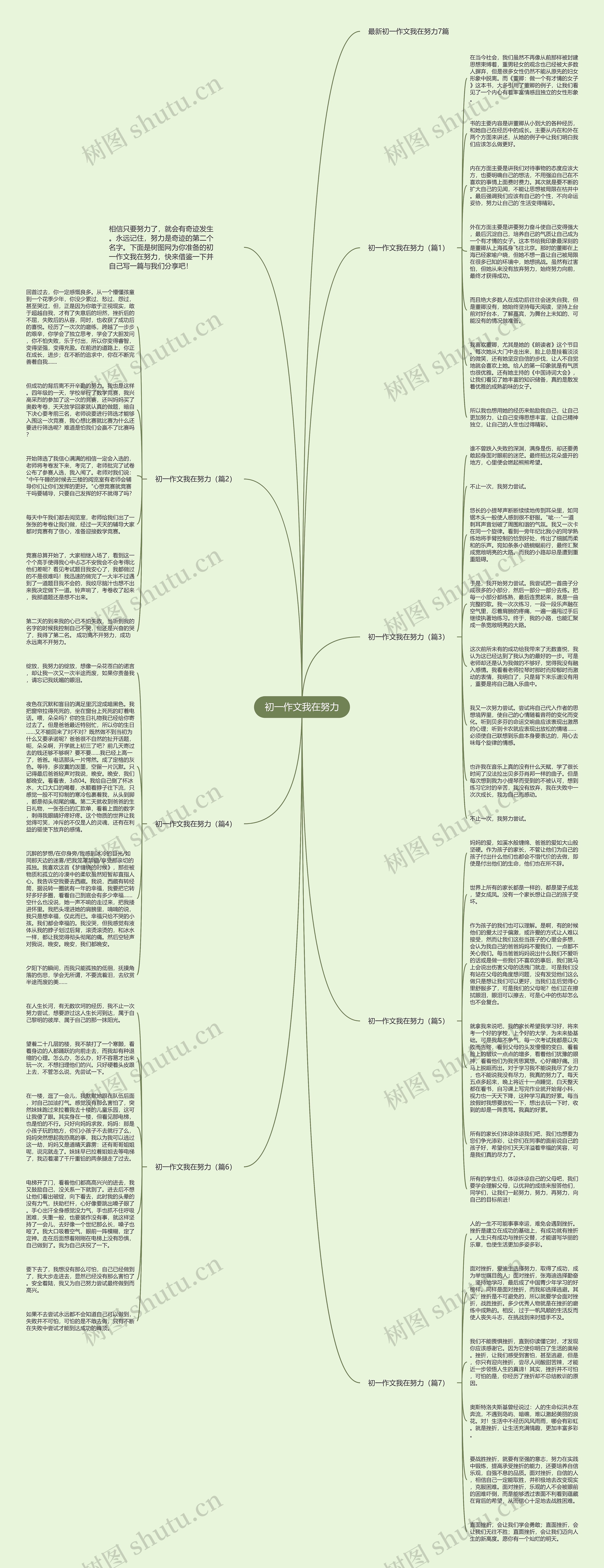 初一作文我在努力思维导图