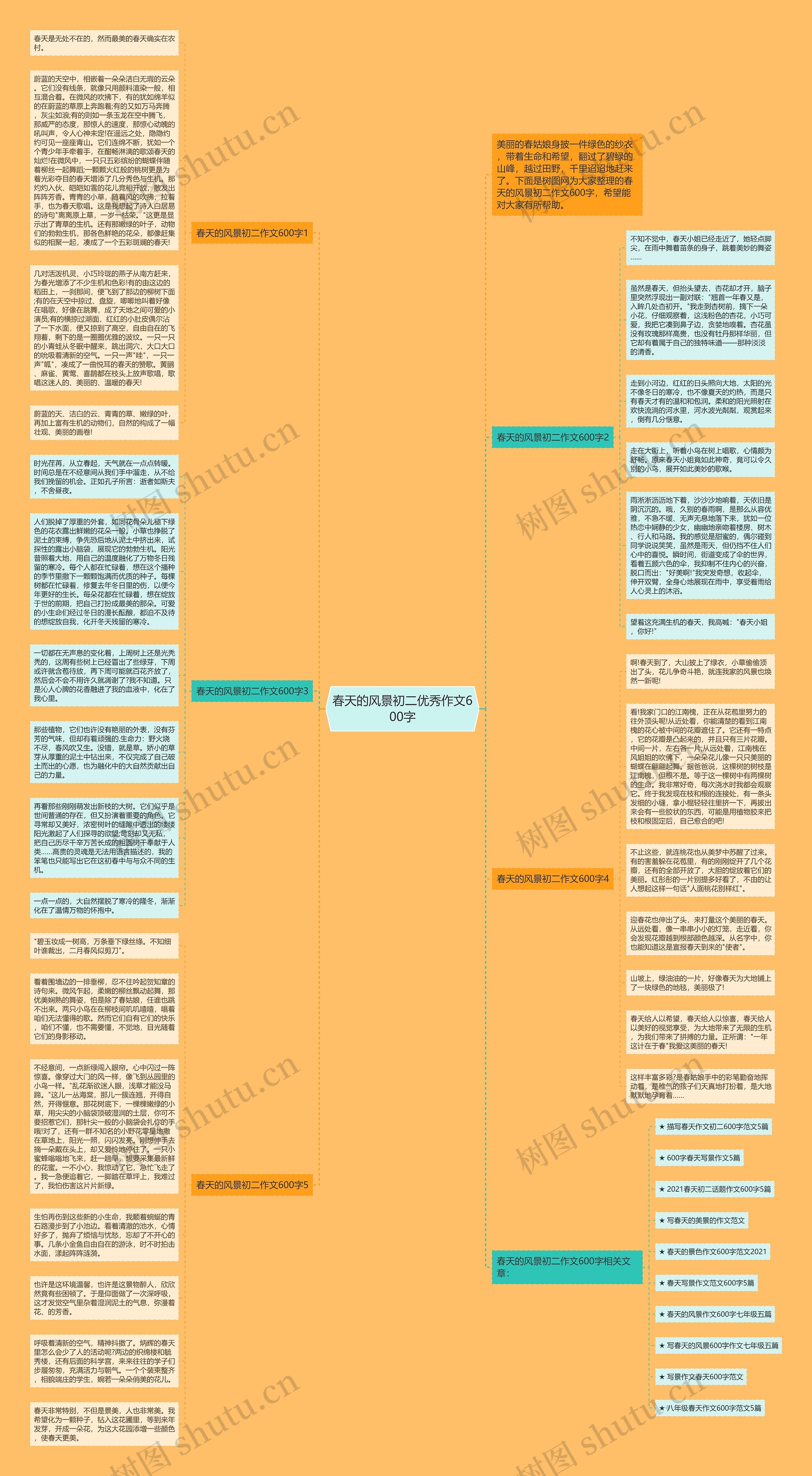 春天的风景初二优秀作文600字思维导图