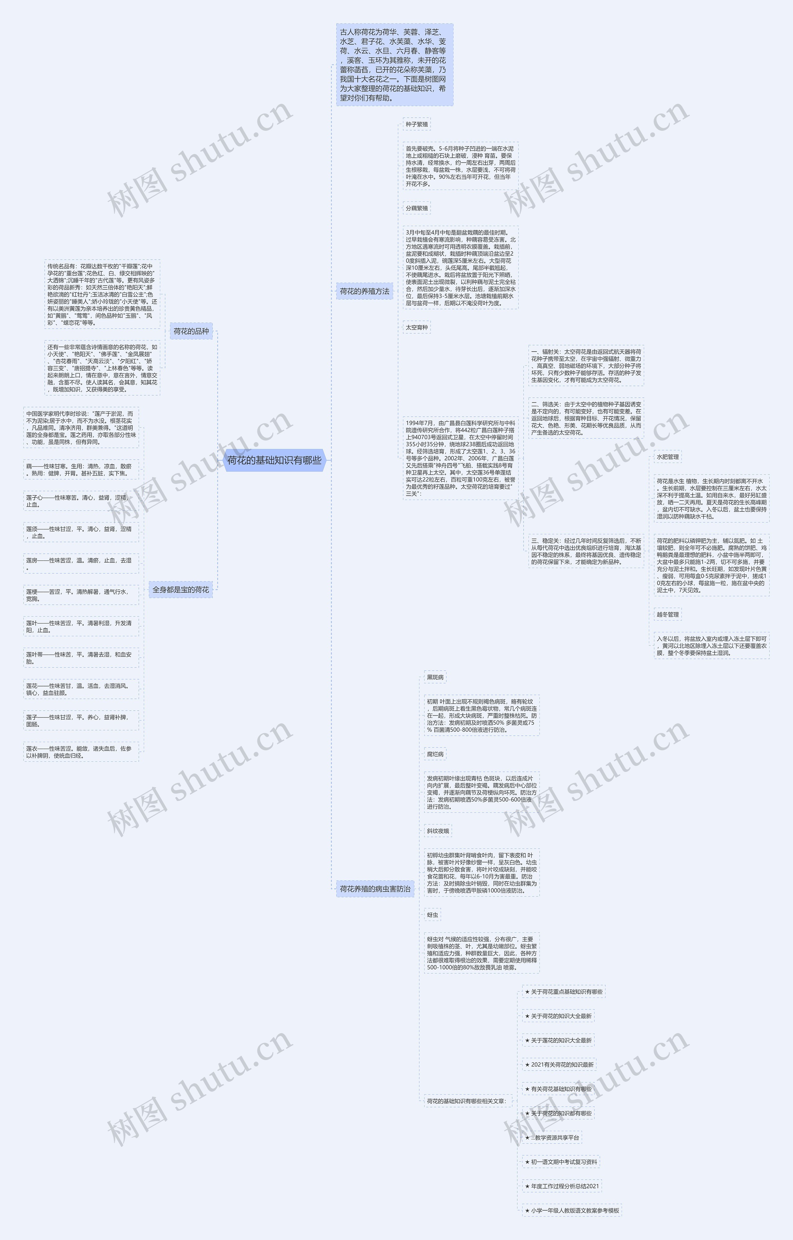 荷花的基础知识有哪些思维导图