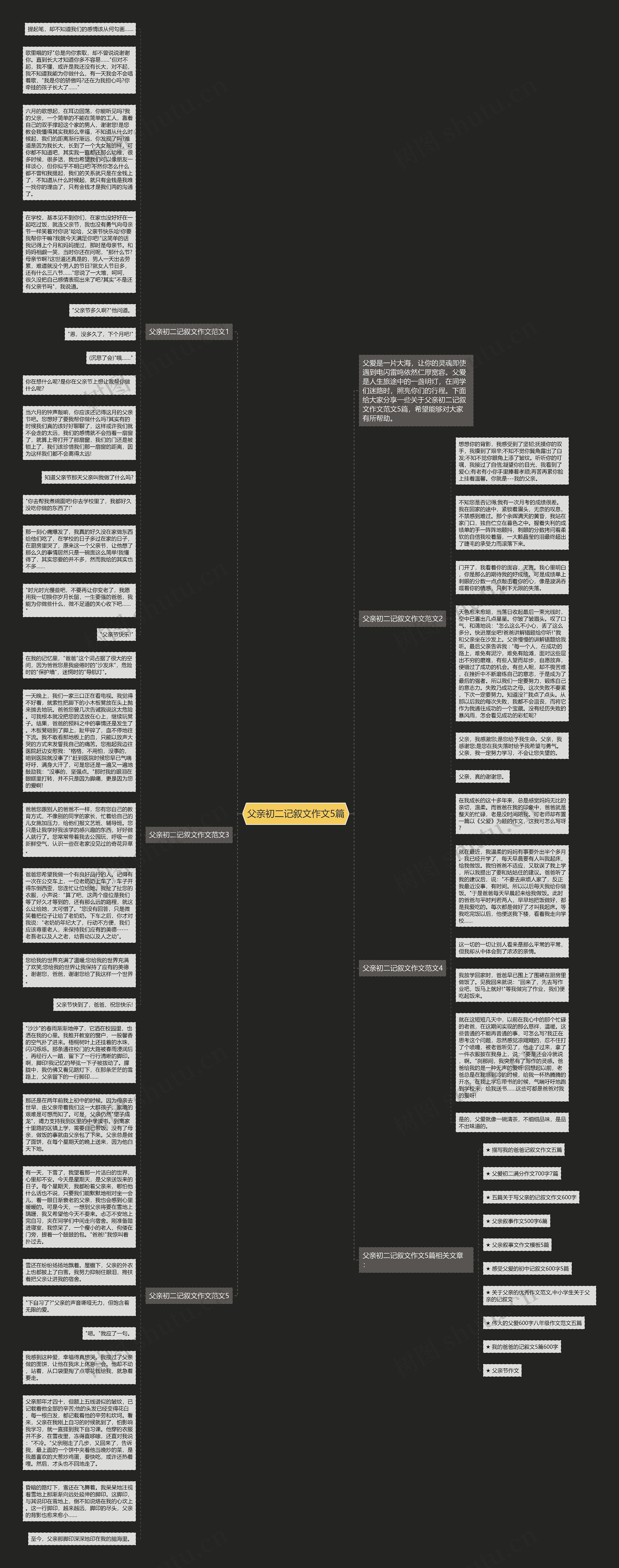 父亲初二记叙文作文5篇思维导图