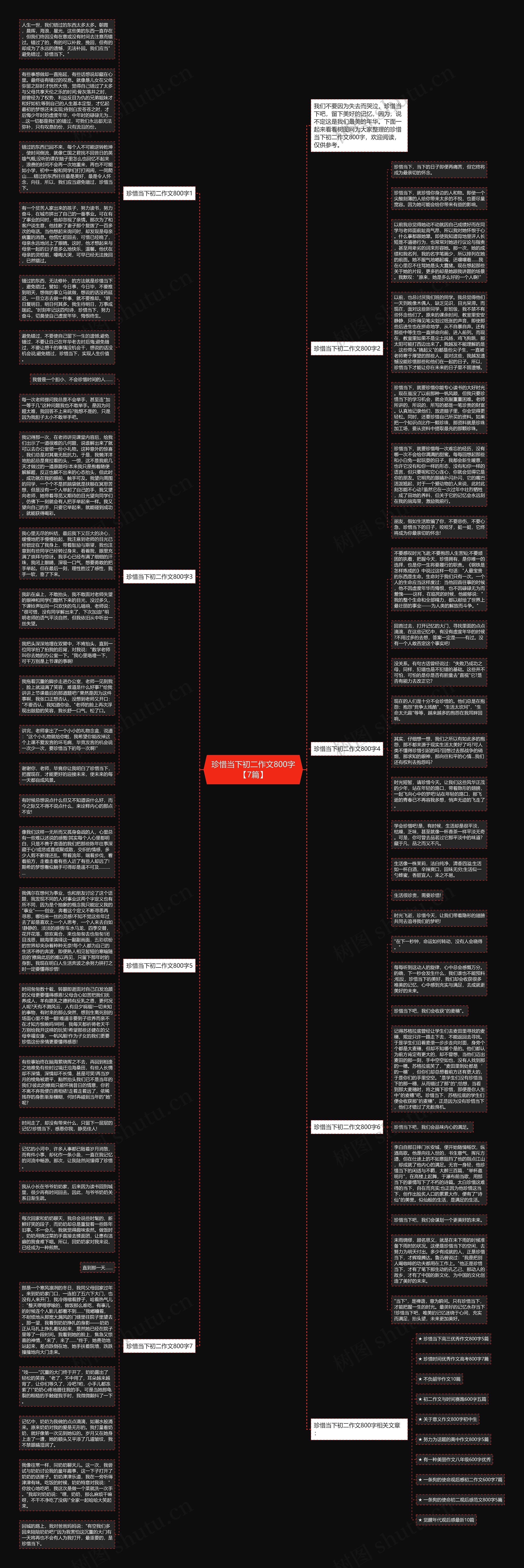 珍惜当下初二作文800字【7篇】思维导图