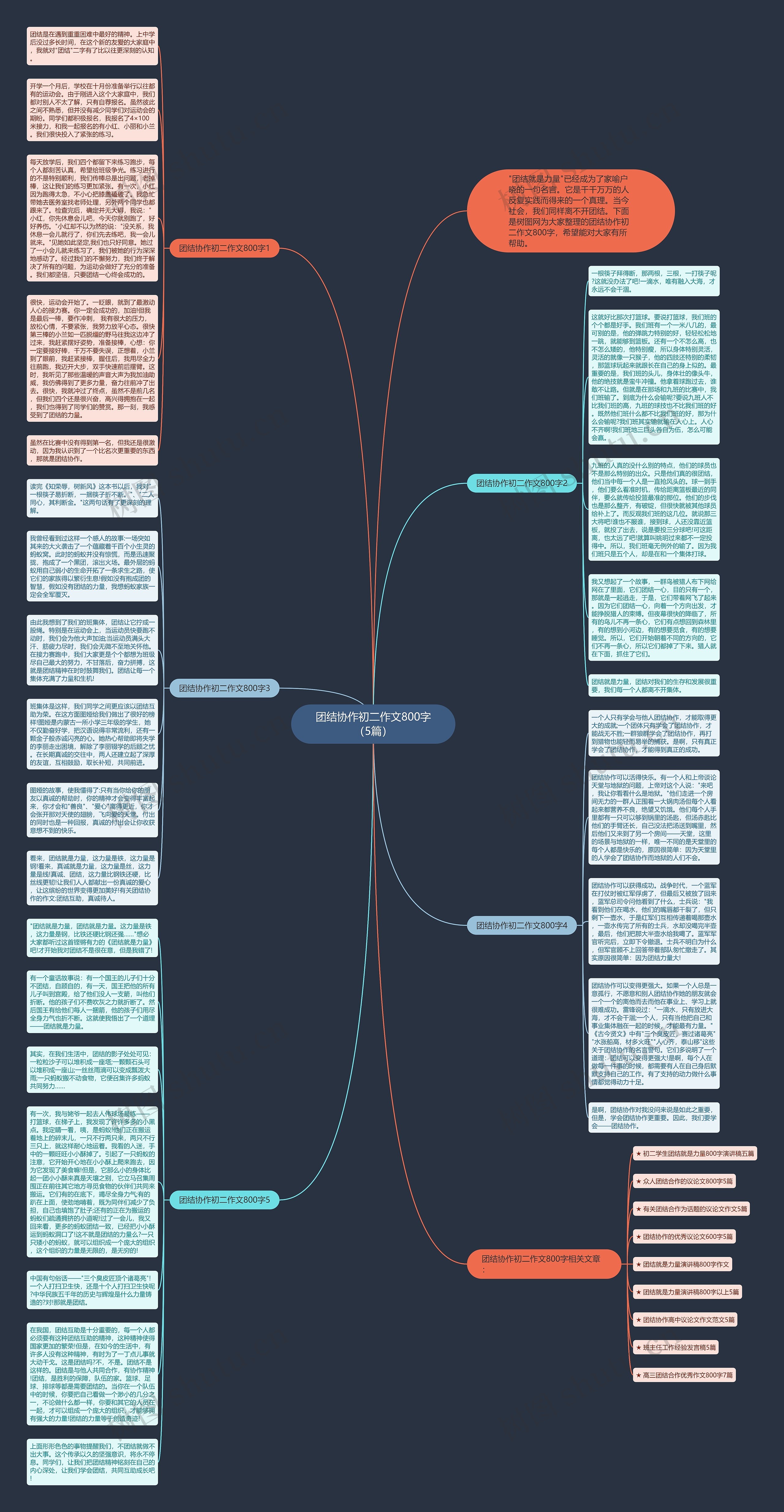 团结协作初二作文800字（5篇）思维导图