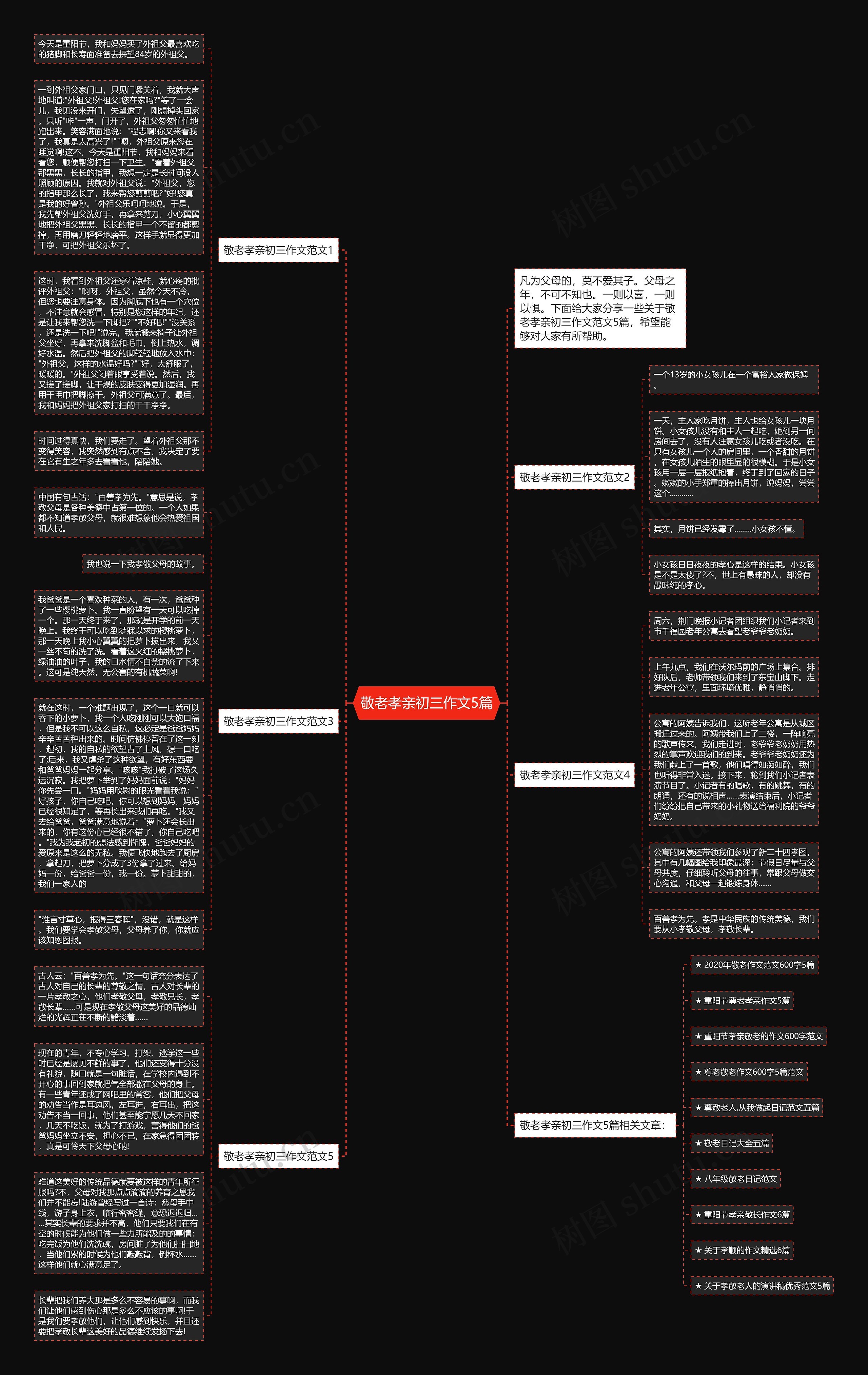 敬老孝亲初三作文5篇思维导图