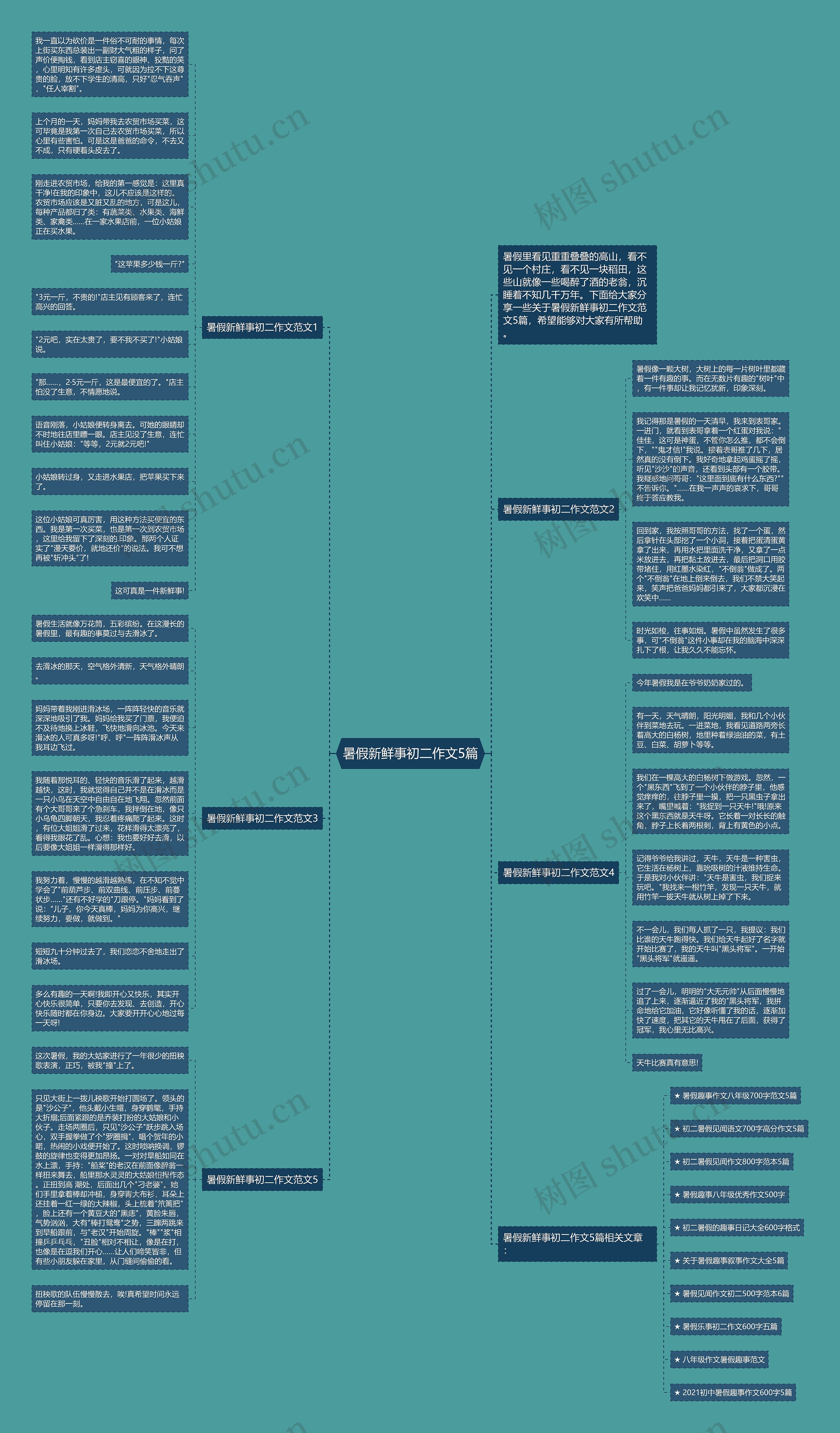 暑假新鲜事初二作文5篇思维导图