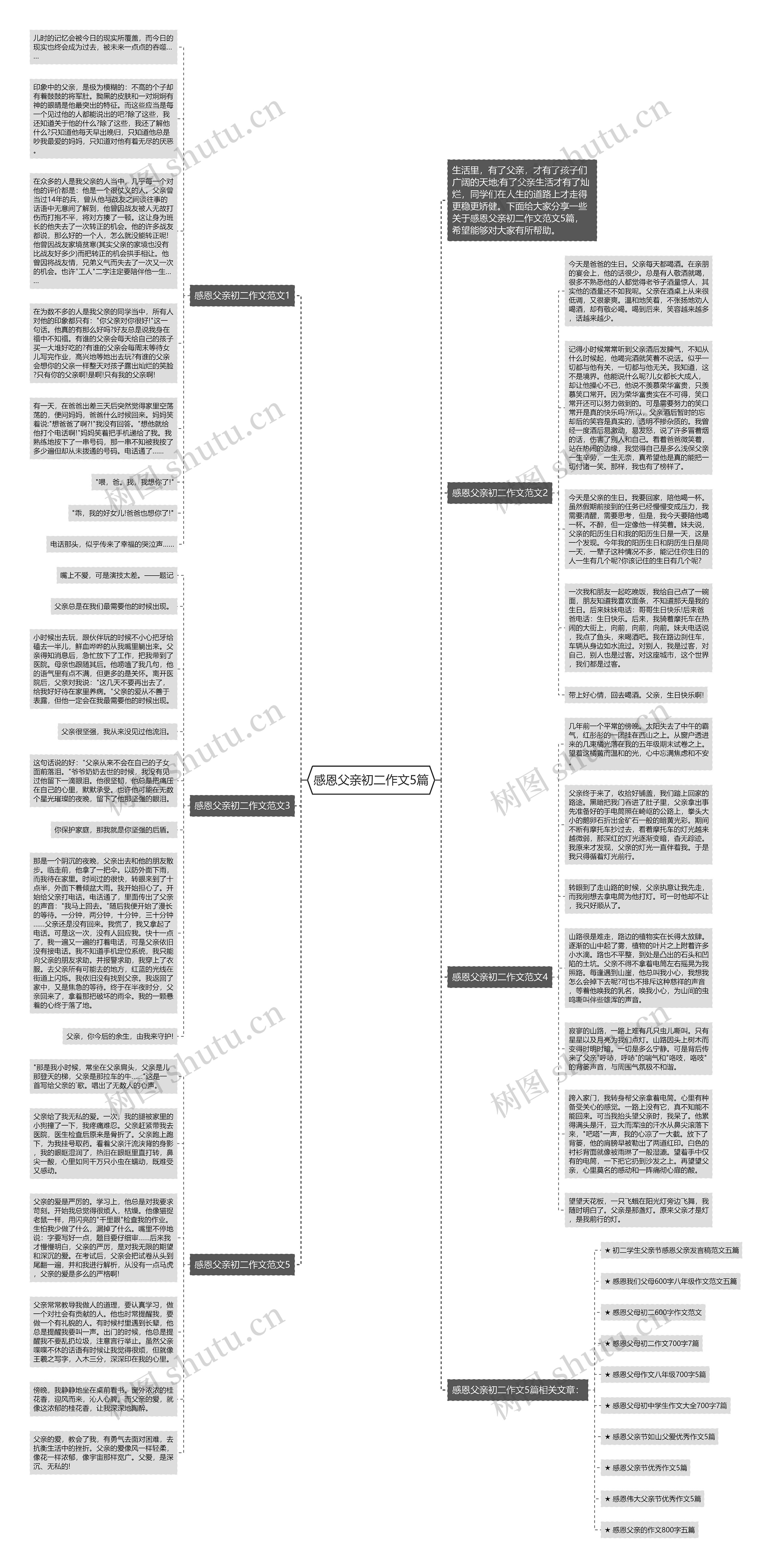 感恩父亲初二作文5篇思维导图