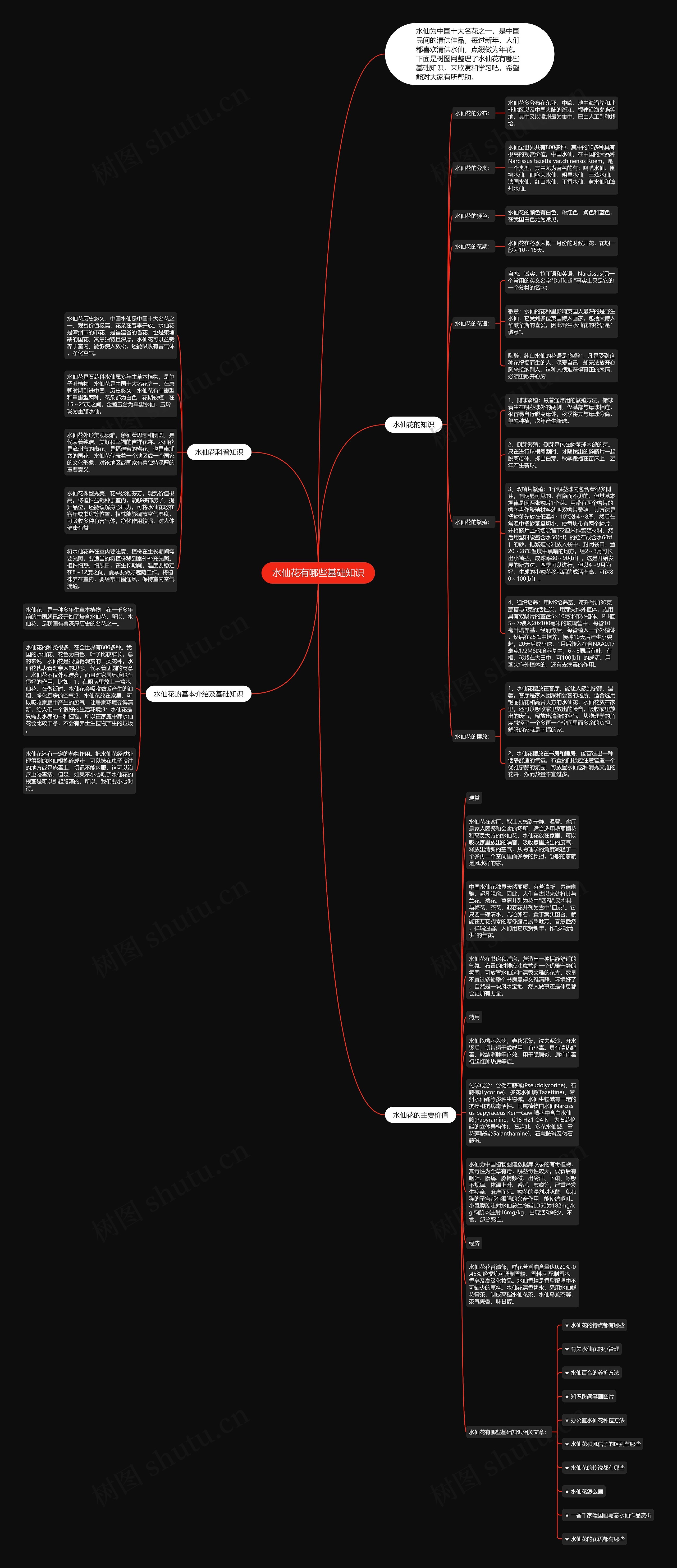 水仙花有哪些基础知识思维导图
