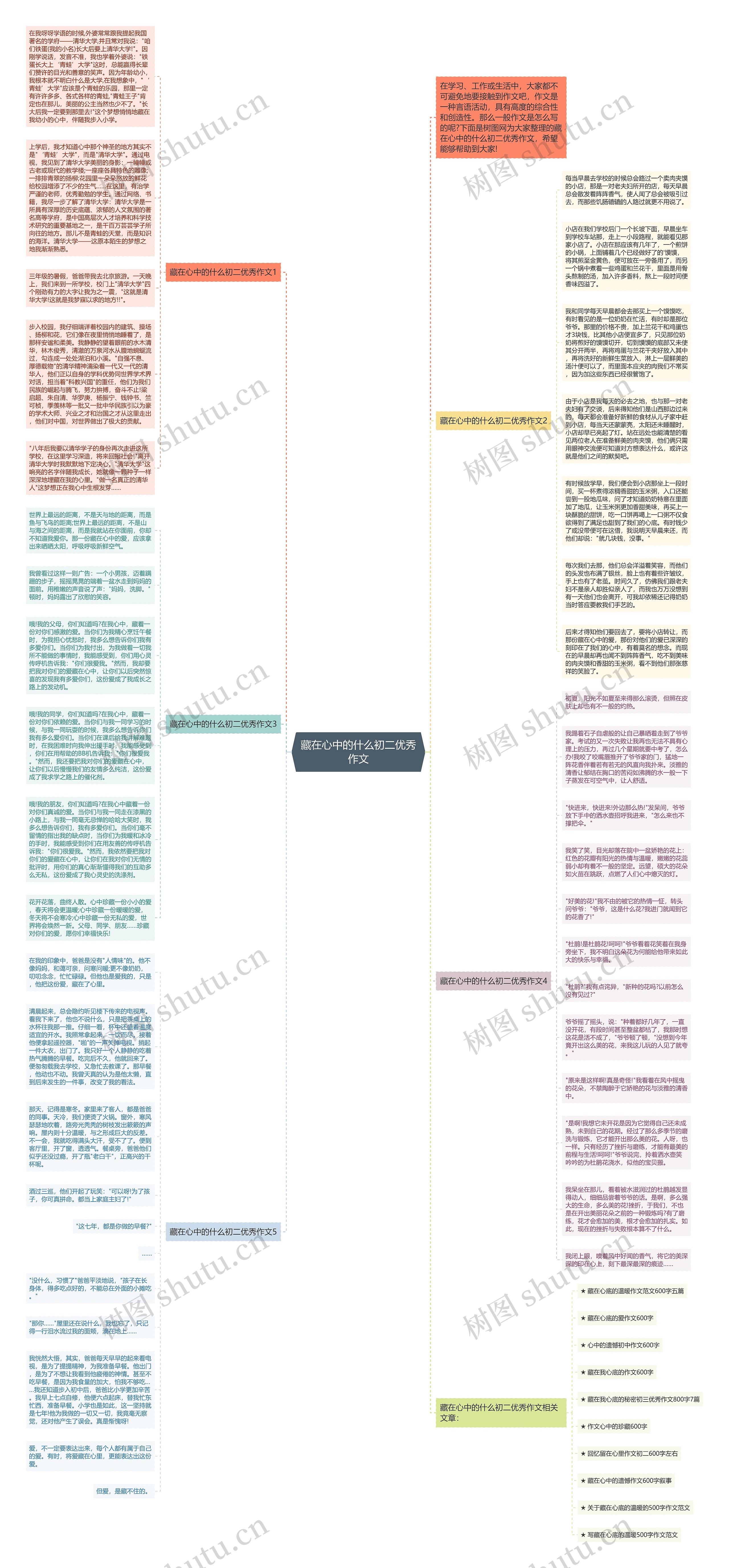 藏在心中的什么初二优秀作文思维导图