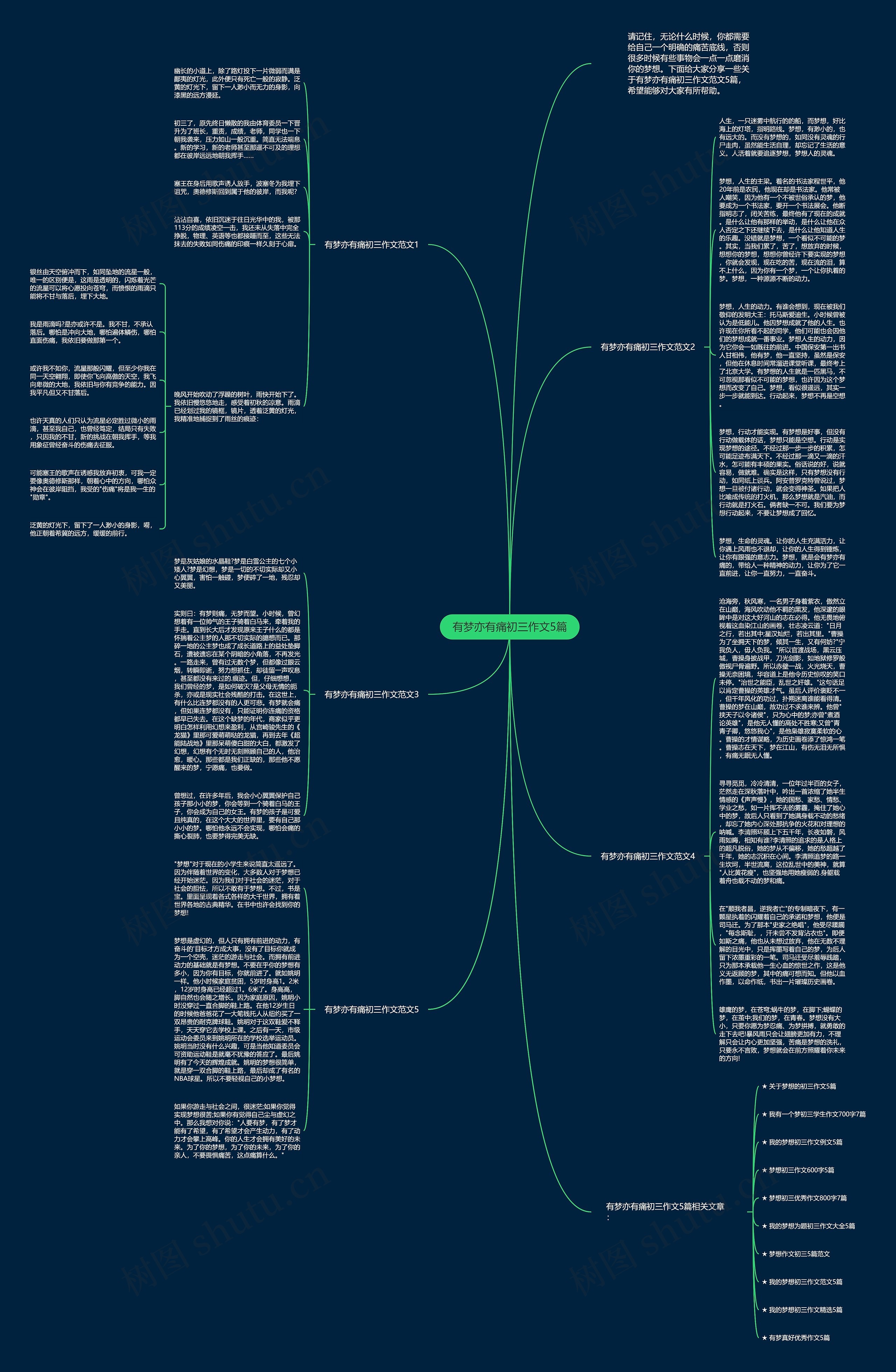 有梦亦有痛初三作文5篇思维导图