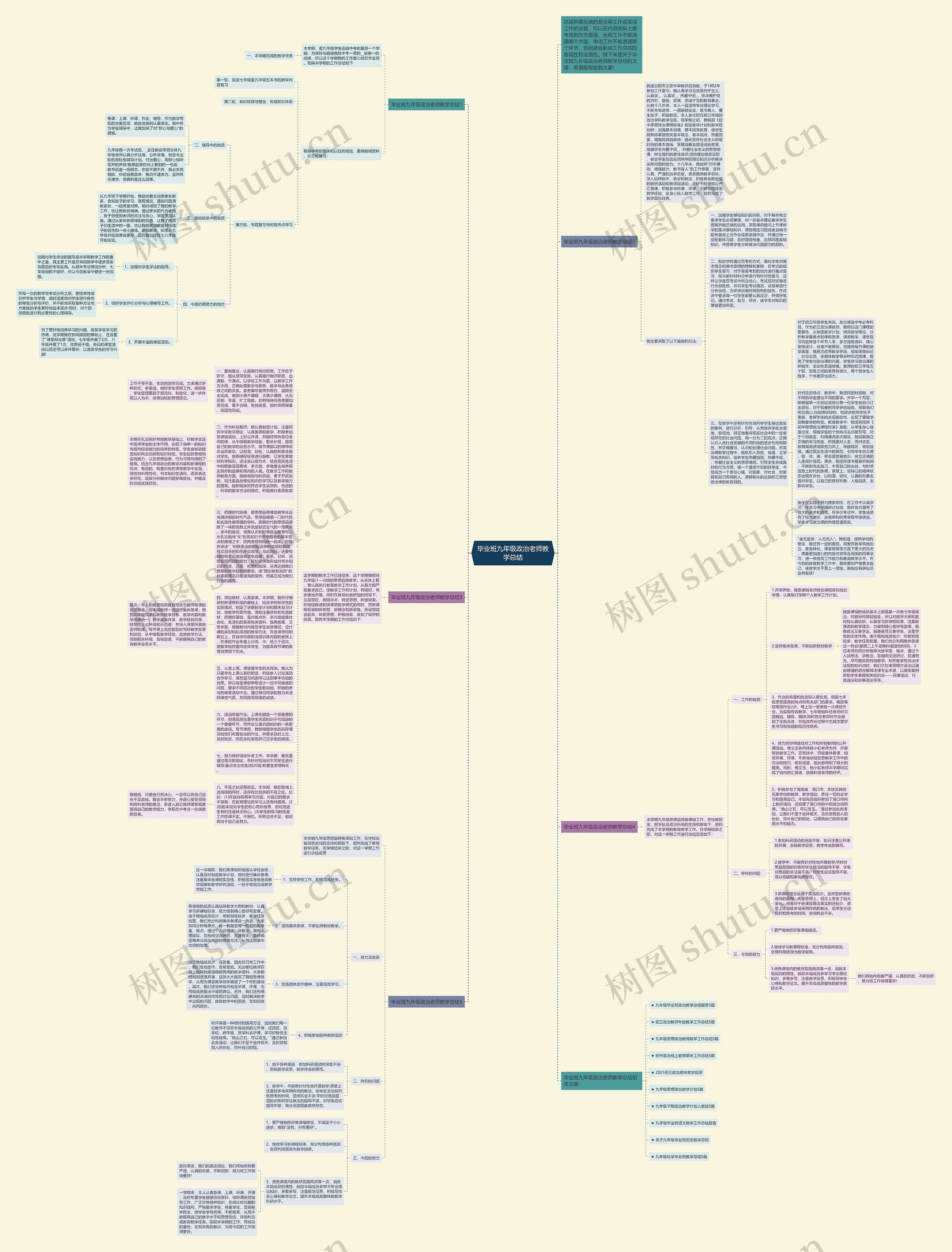 毕业班九年级政治老师教学总结思维导图