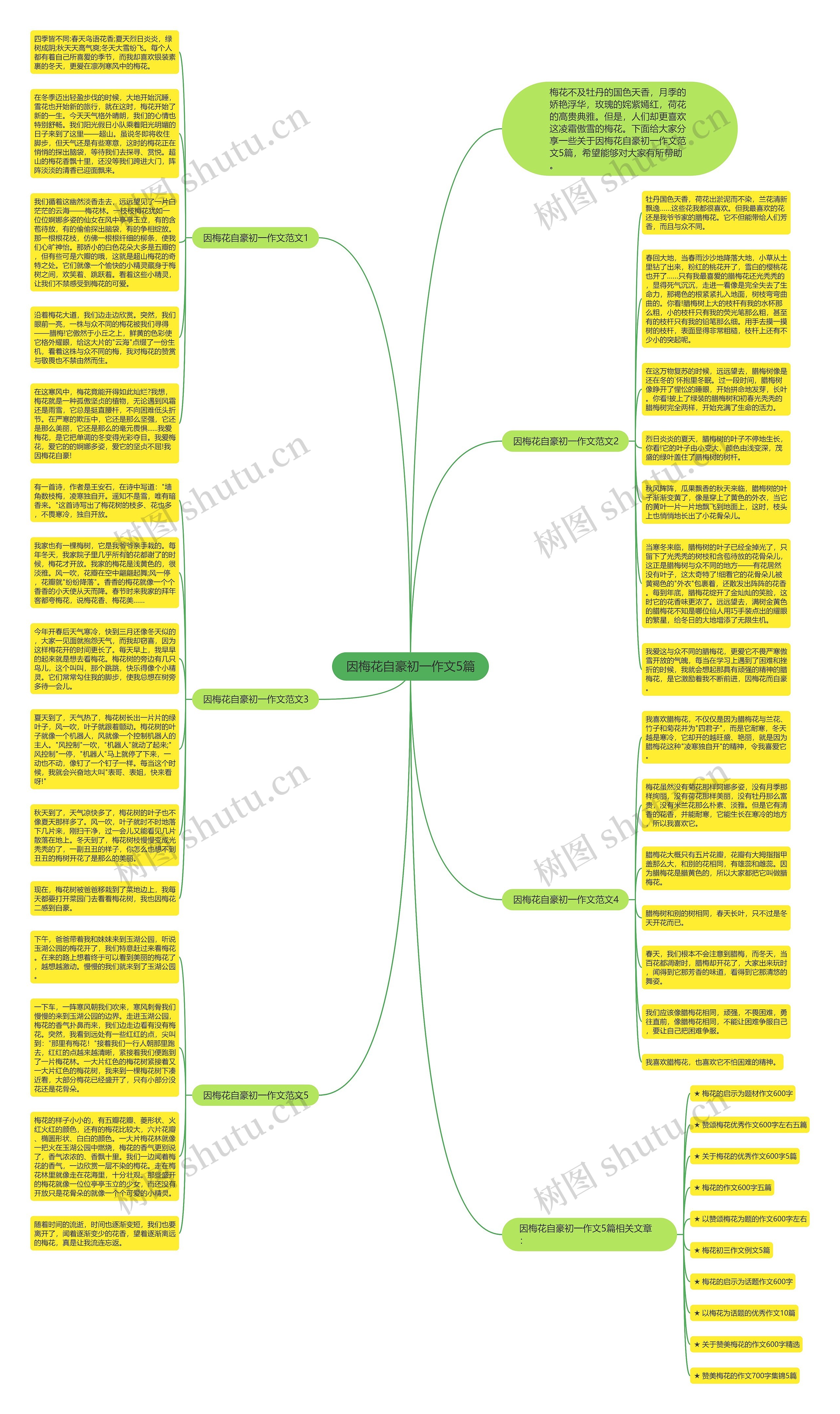 因梅花自豪初一作文5篇思维导图