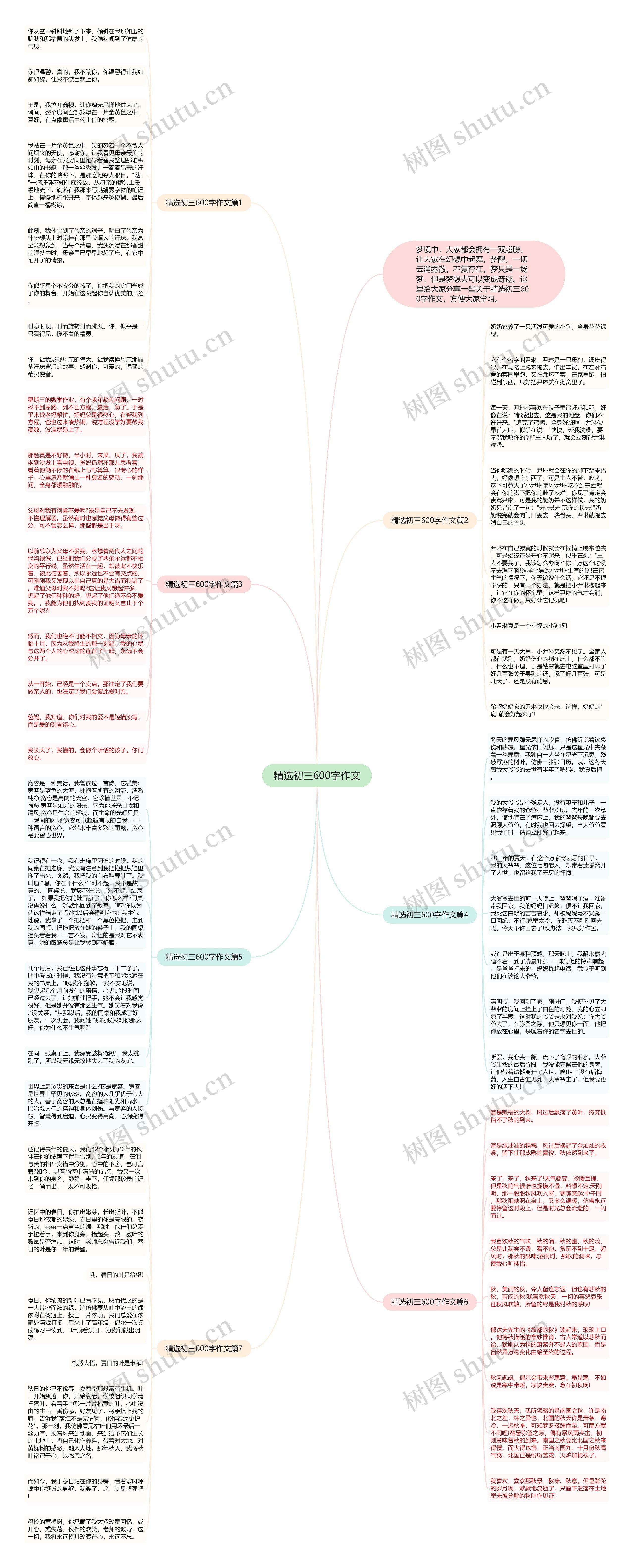 精选初三600字作文思维导图