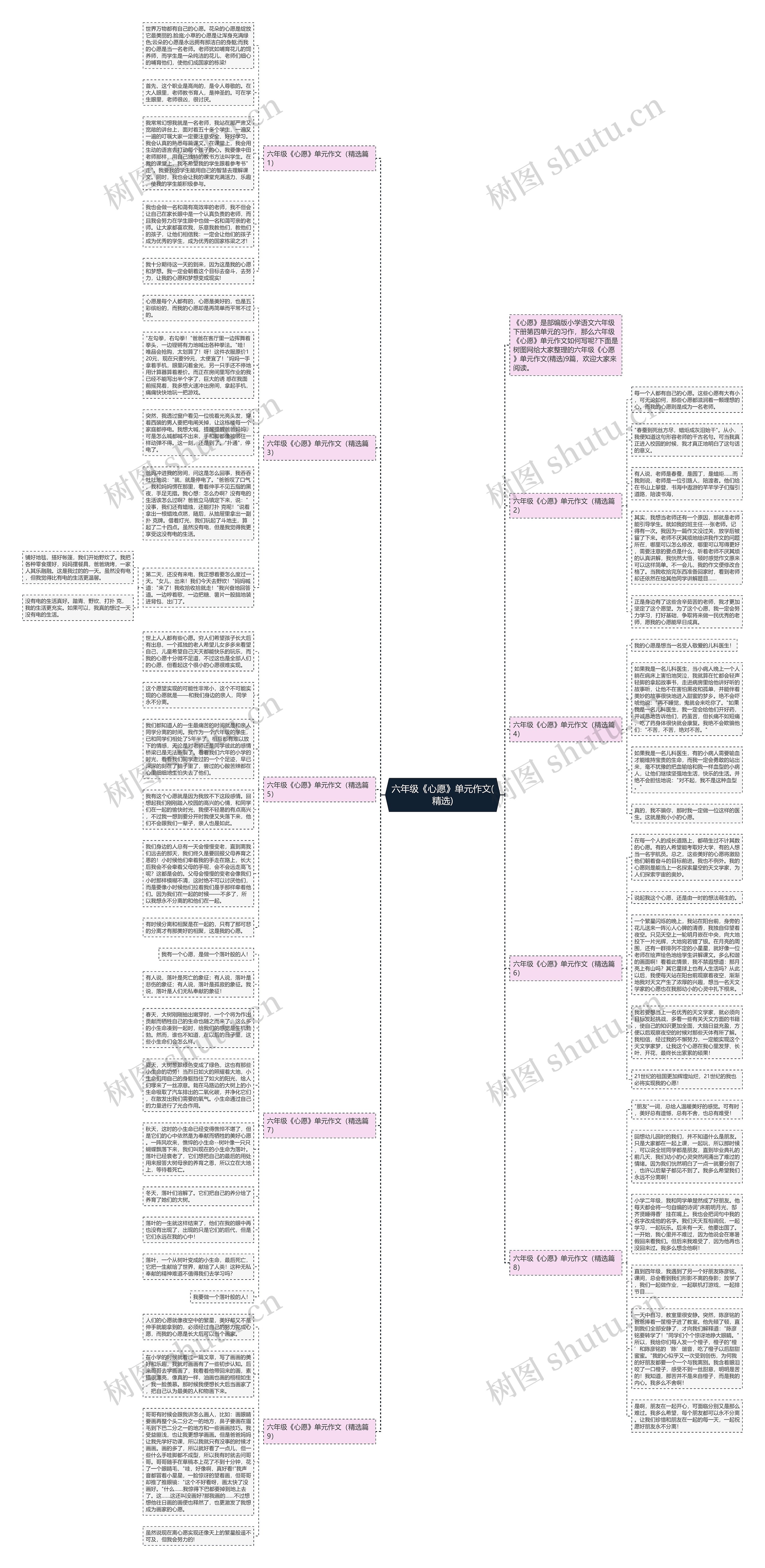 六年级《心愿》单元作文(精选)思维导图