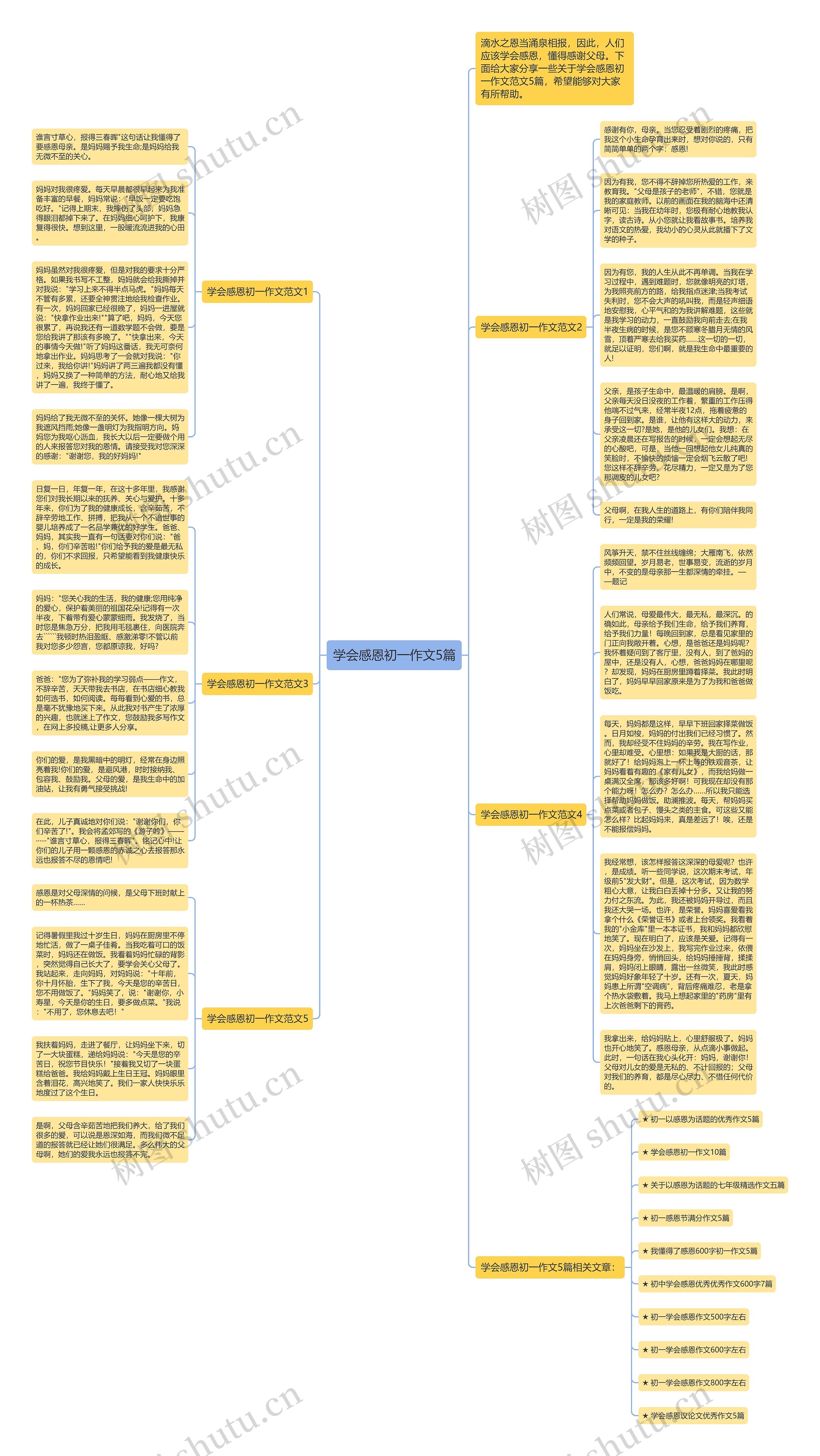 学会感恩初一作文5篇思维导图