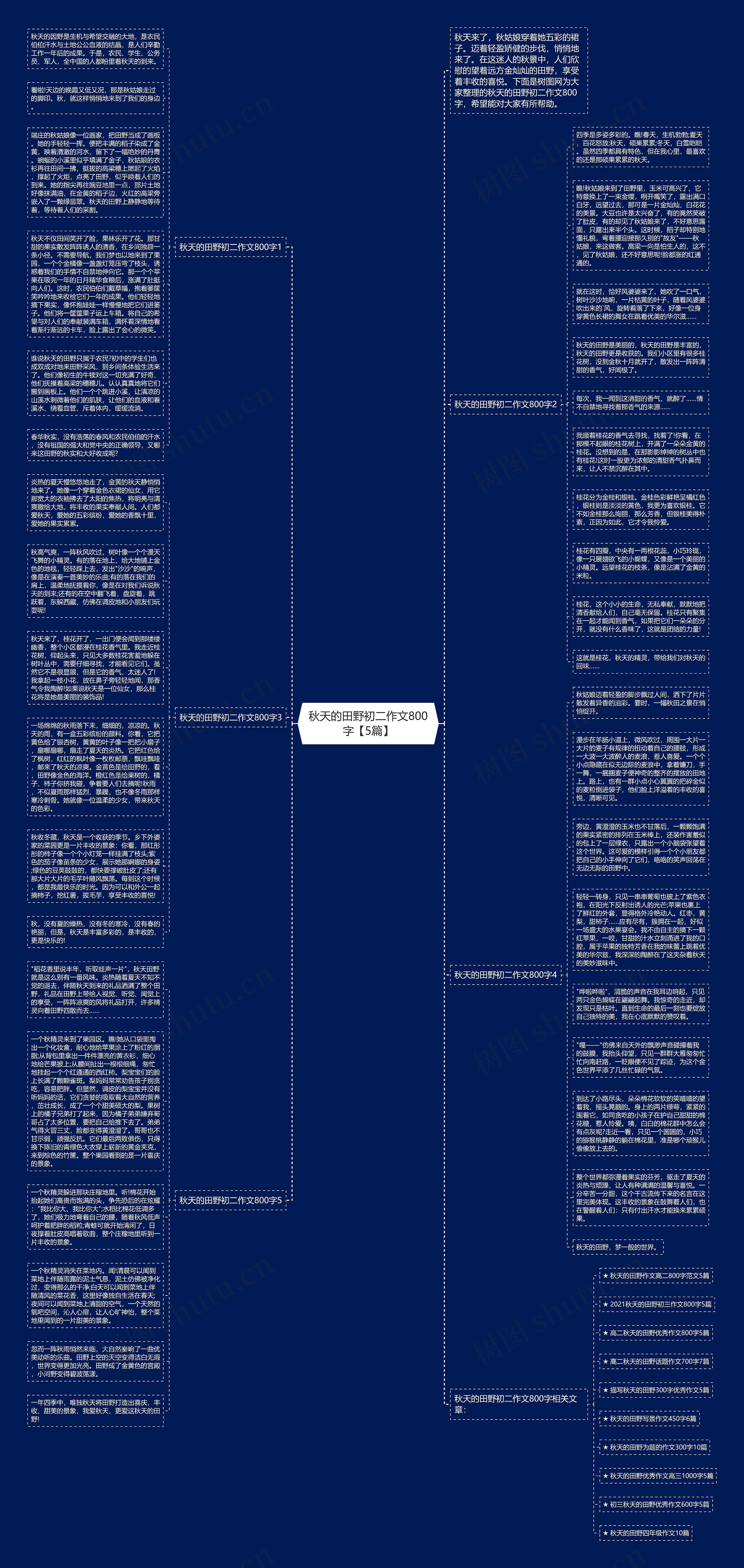 秋天的田野初二作文800字【5篇】思维导图