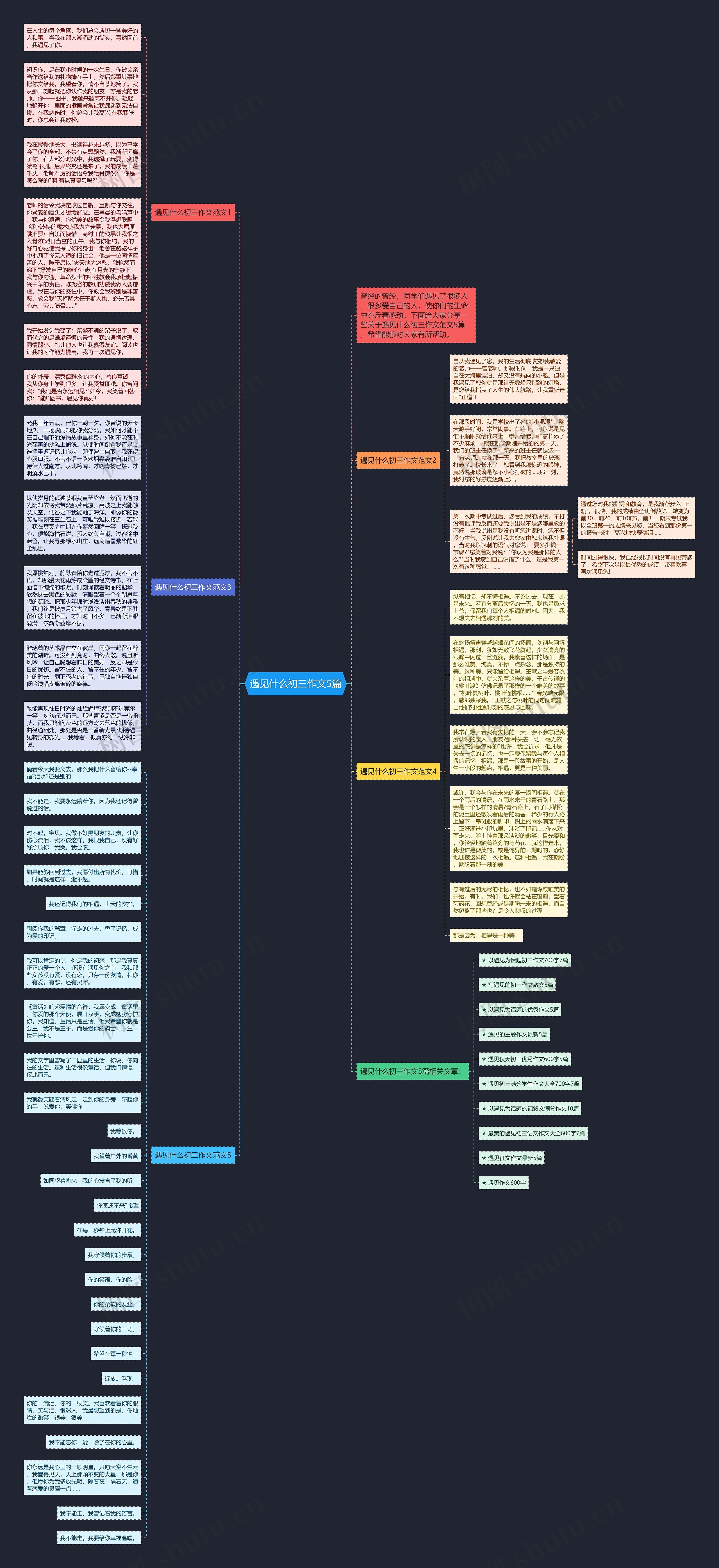 遇见什么初三作文5篇思维导图