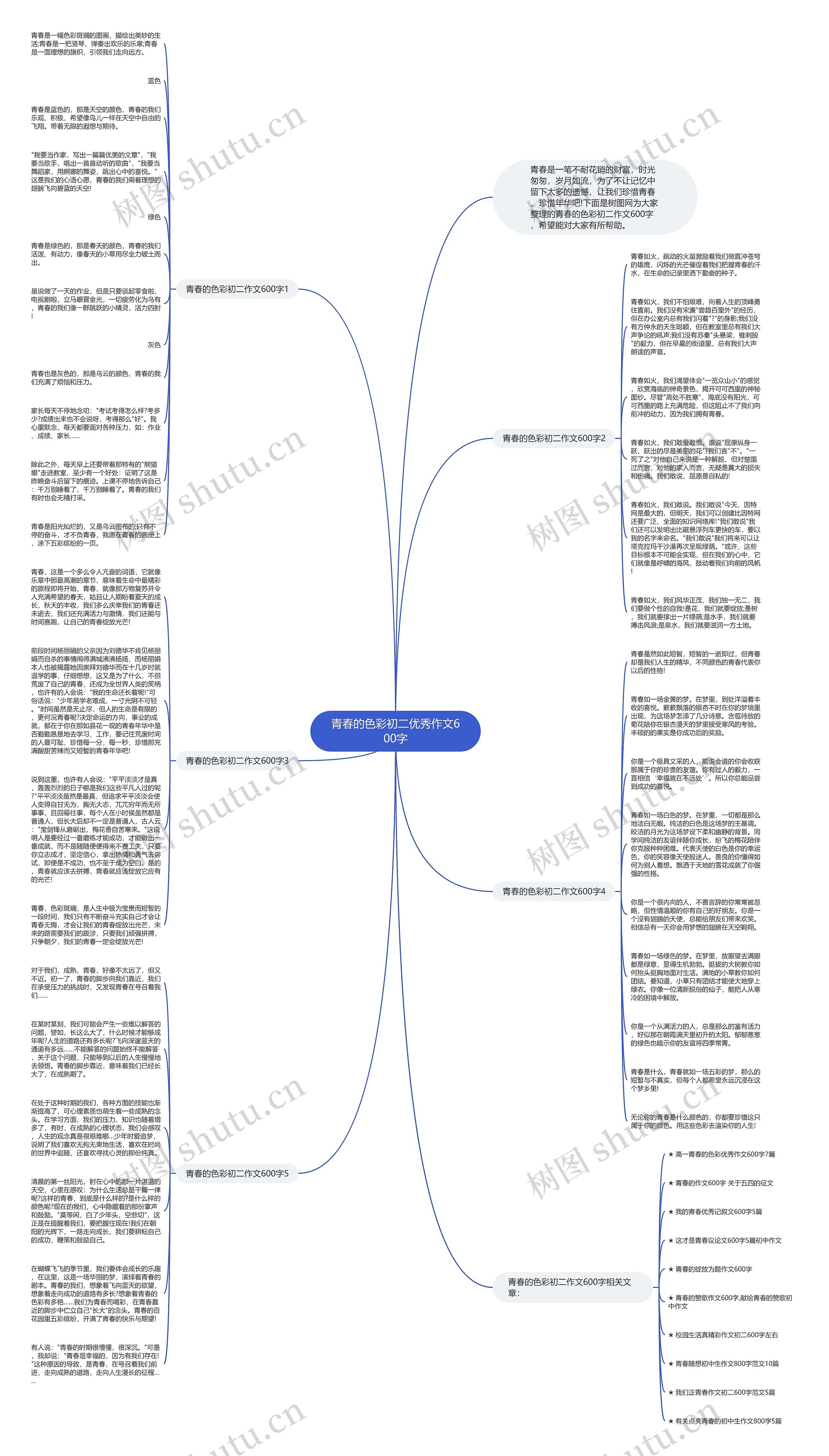 青春的色彩初二优秀作文600字思维导图