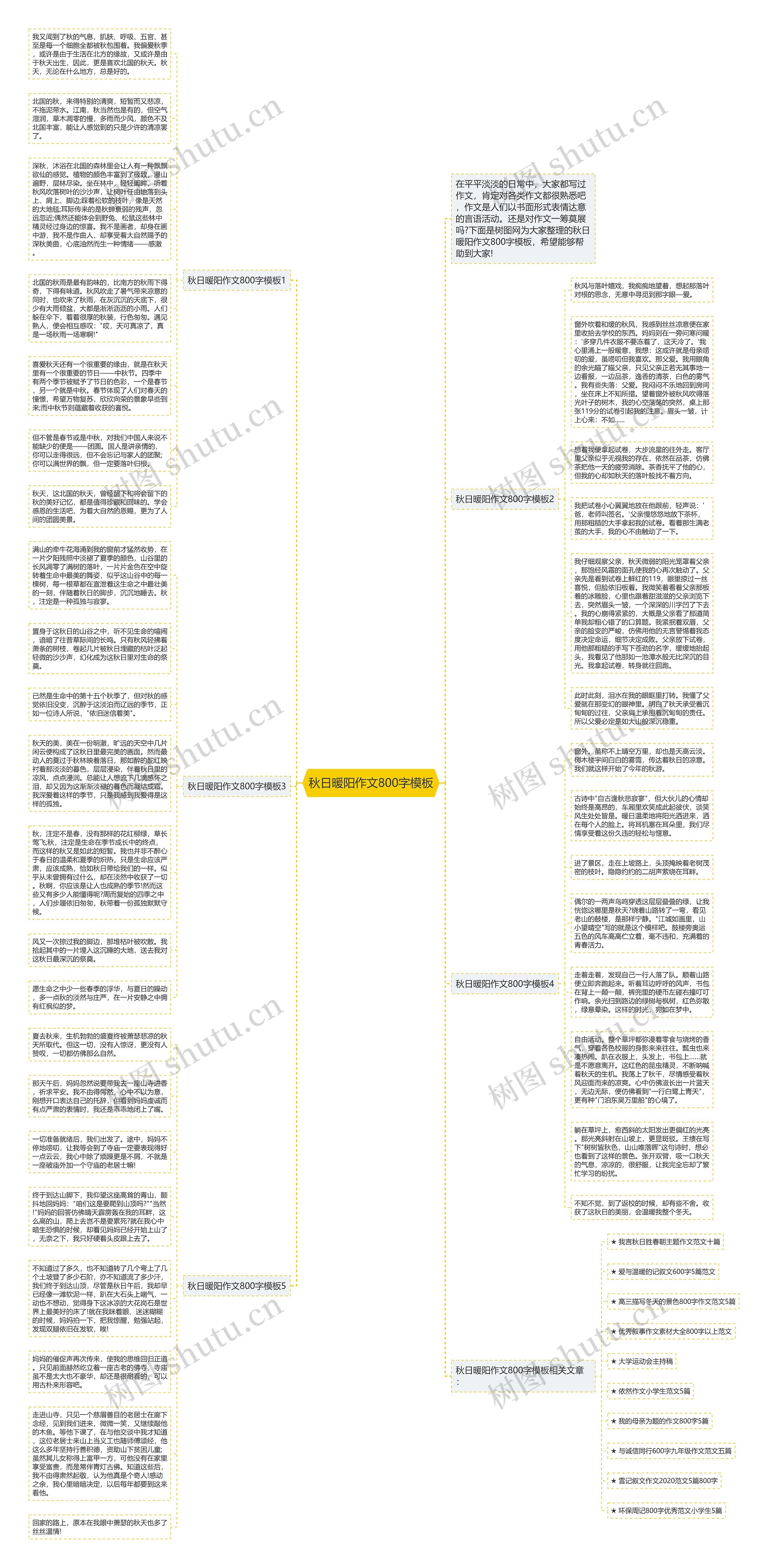 秋日暖阳作文800字思维导图