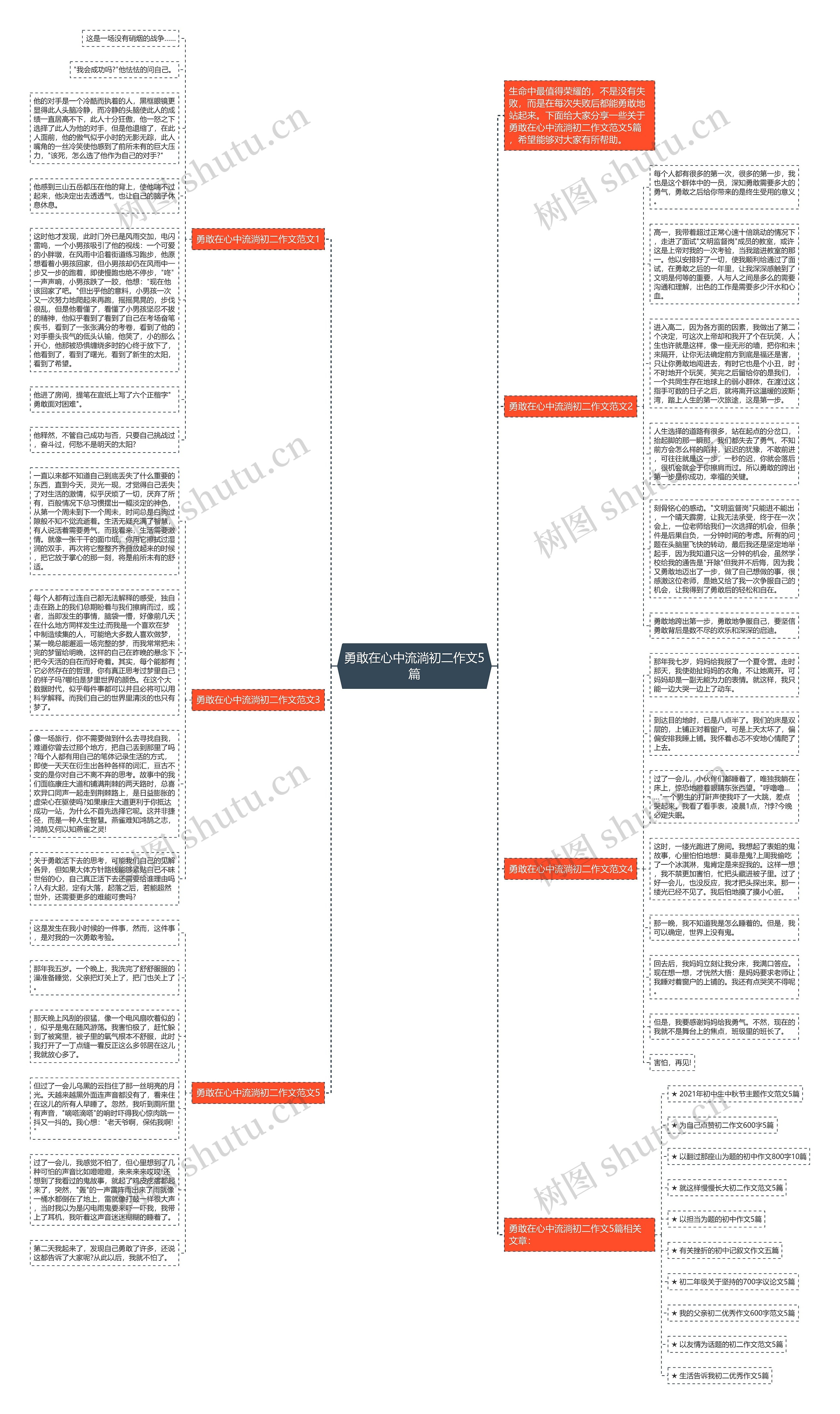 勇敢在心中流淌初二作文5篇思维导图