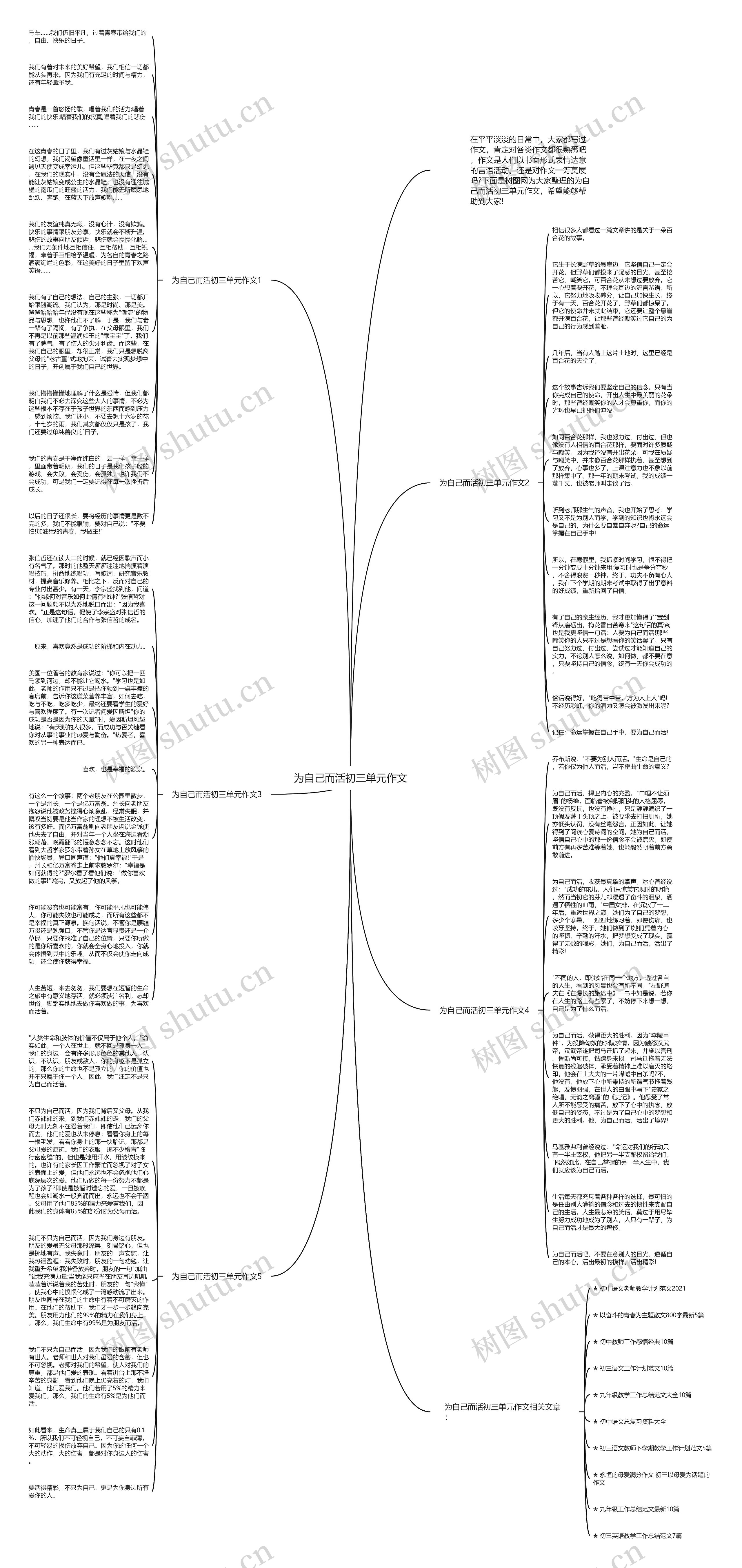 为自己而活初三单元作文思维导图