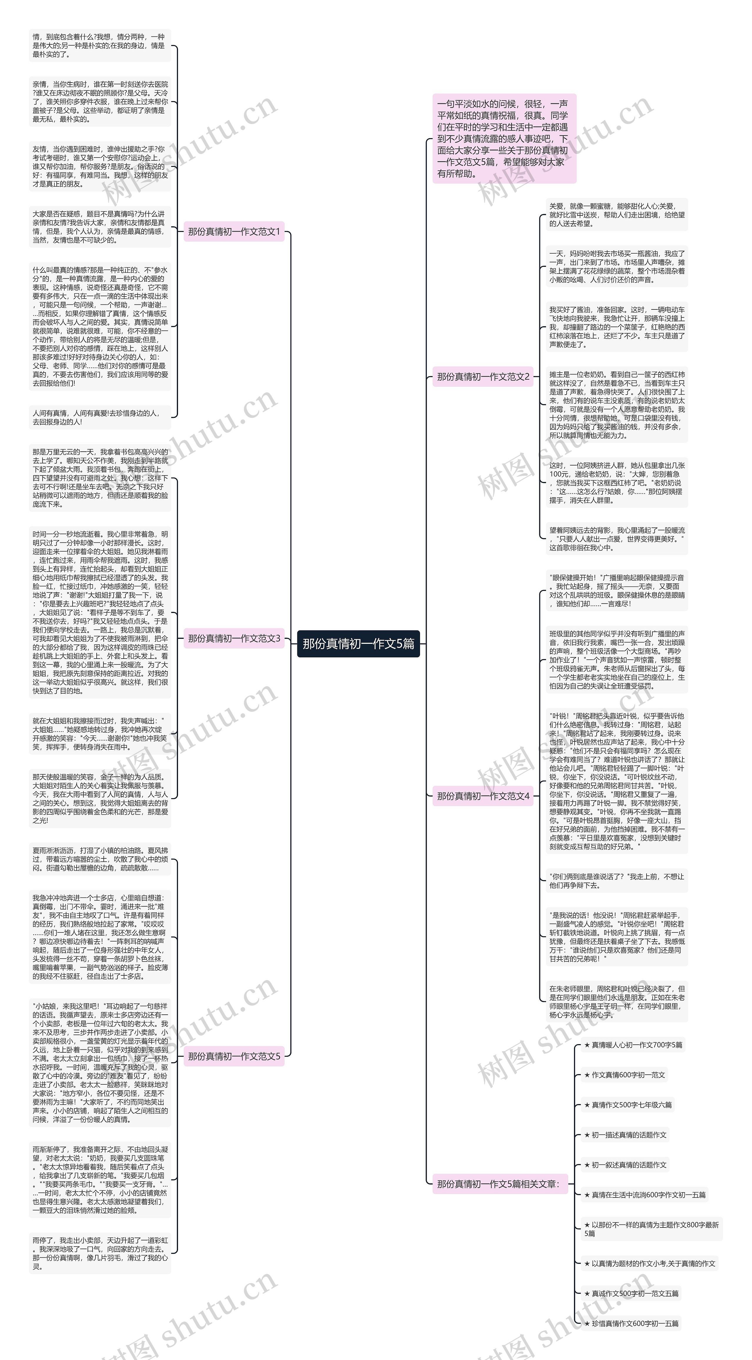 那份真情初一作文5篇思维导图