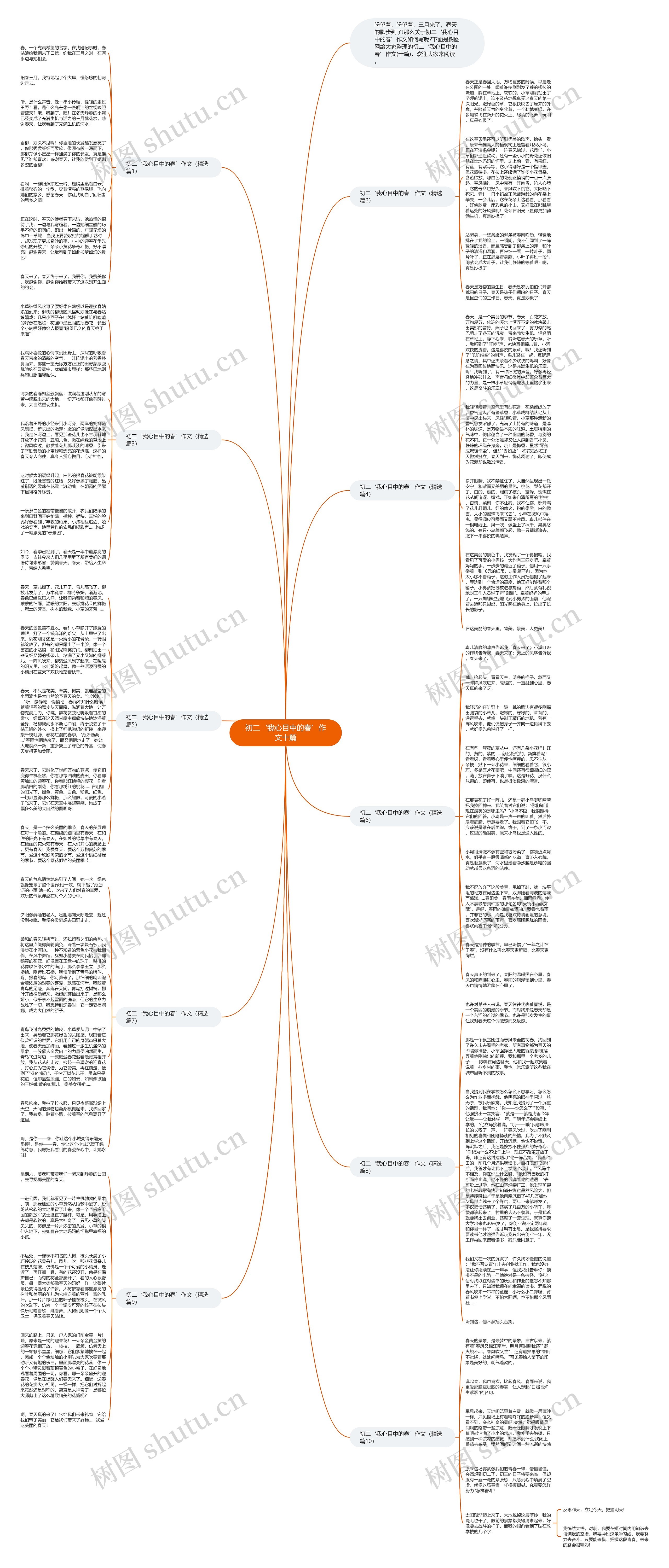 初二‘我心目中的春’作文十篇思维导图