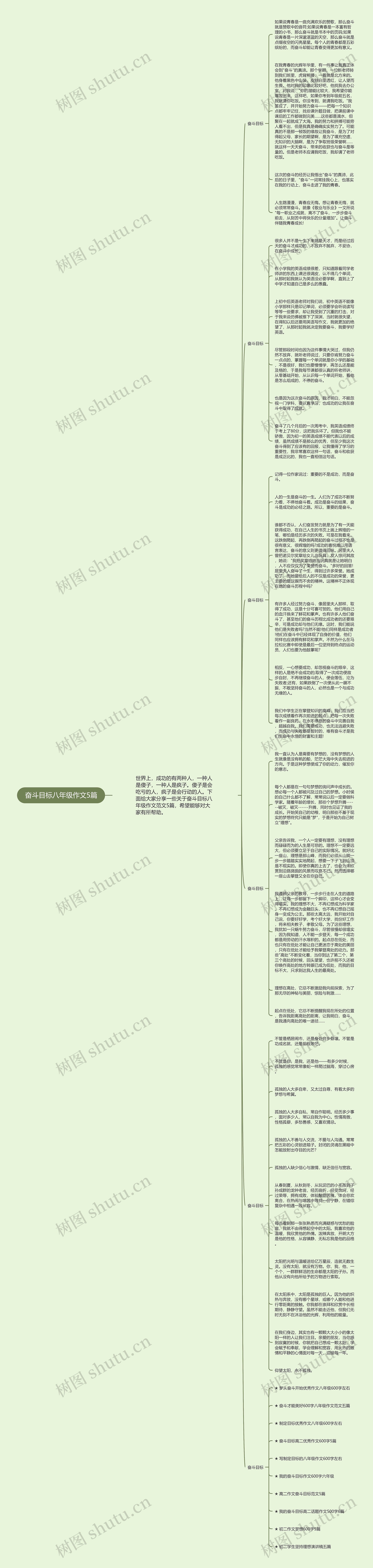 奋斗目标八年级作文5篇思维导图