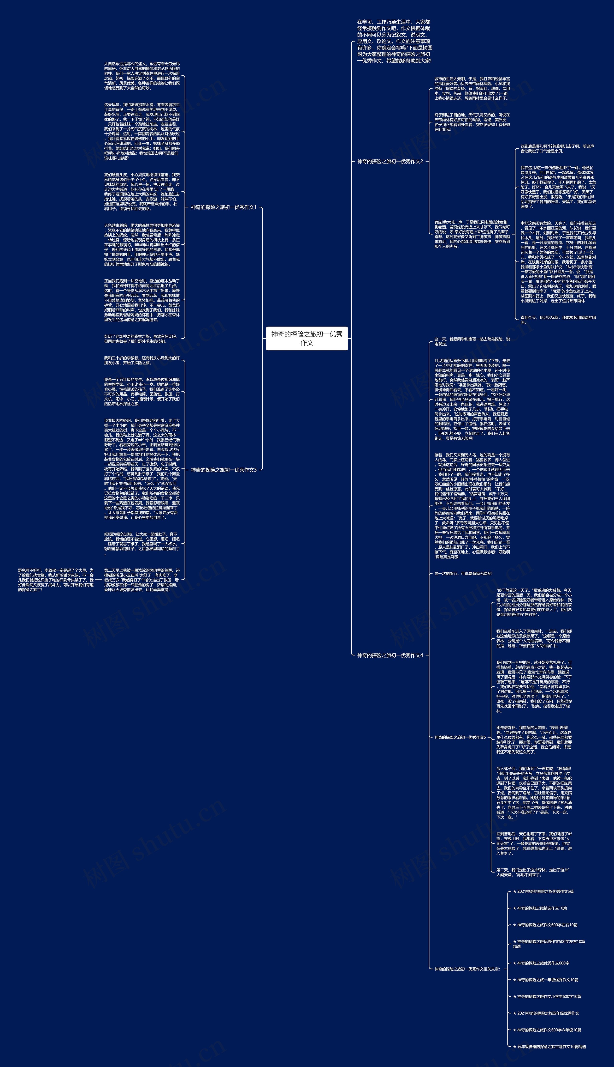 神奇的探险之旅初一优秀作文思维导图