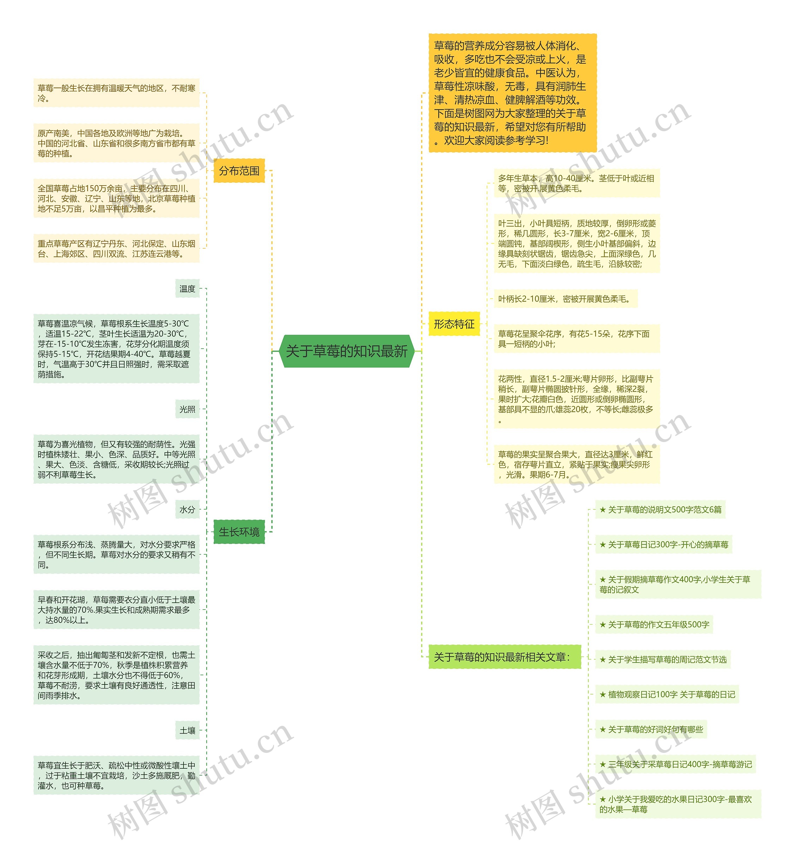 关于草莓的知识最新思维导图