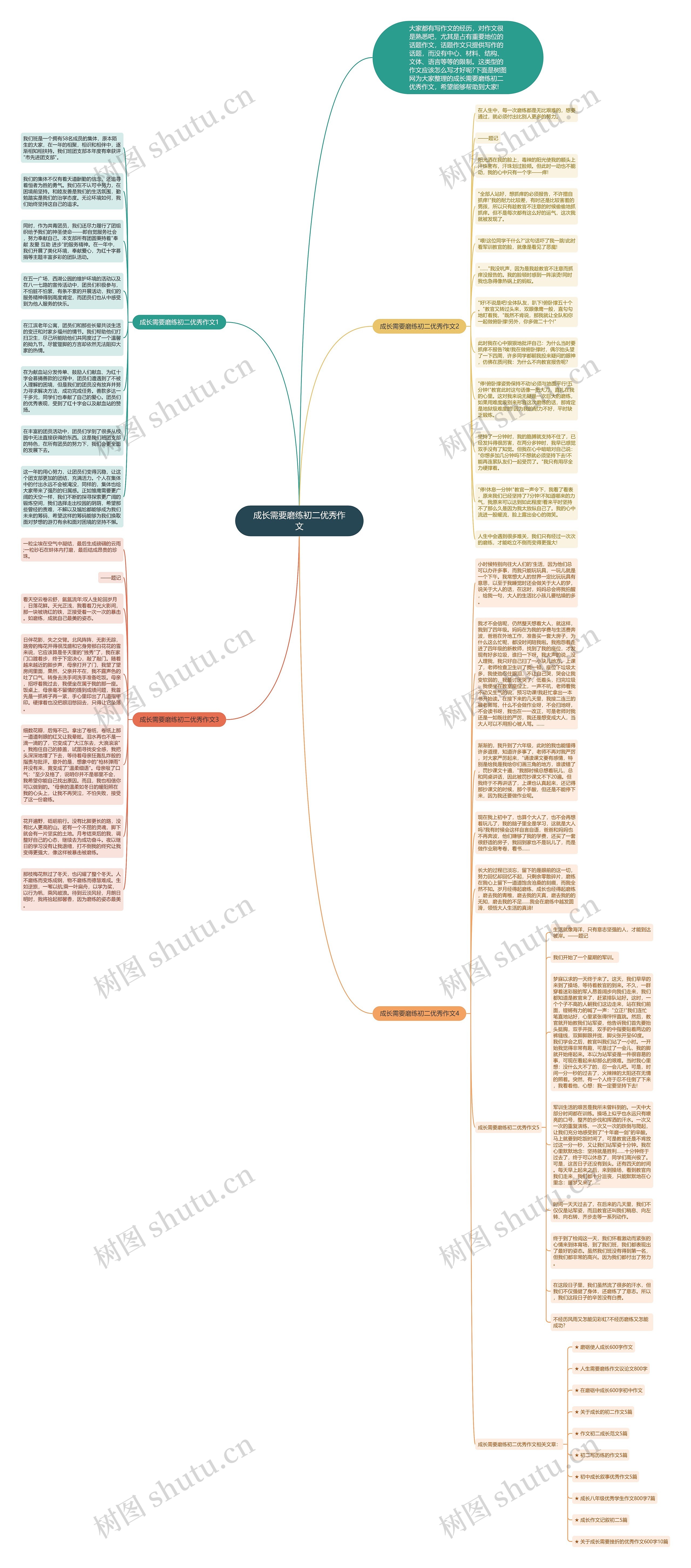 成长需要磨练初二优秀作文思维导图