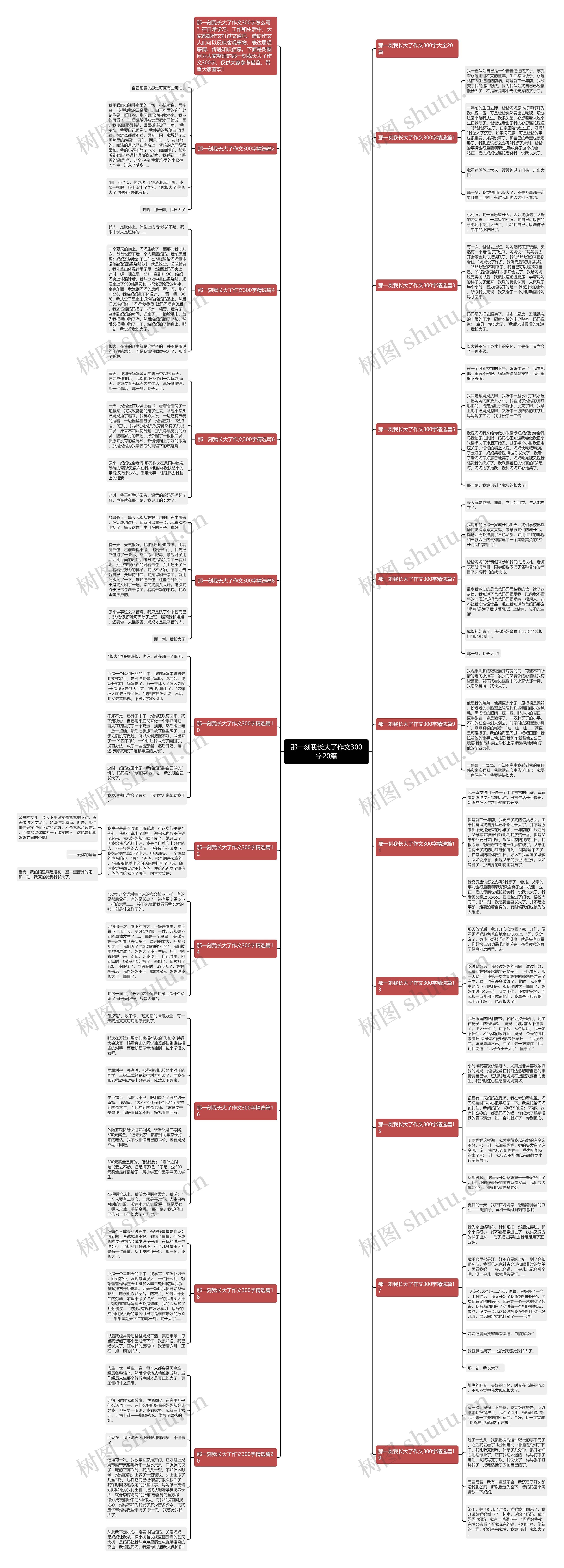 那一刻我长大了作文300字20篇思维导图